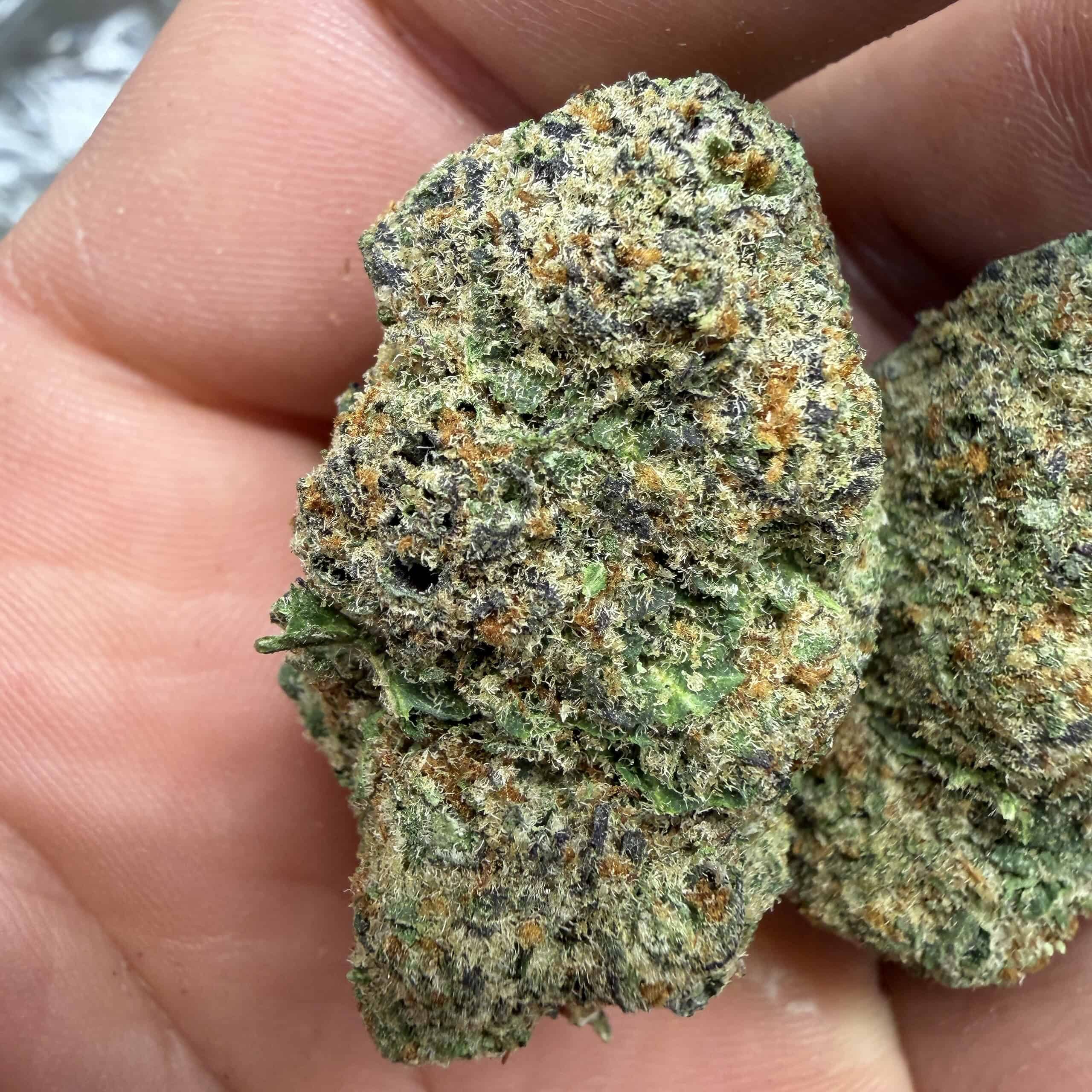 Pandemic Punch THCA Flower Pounds