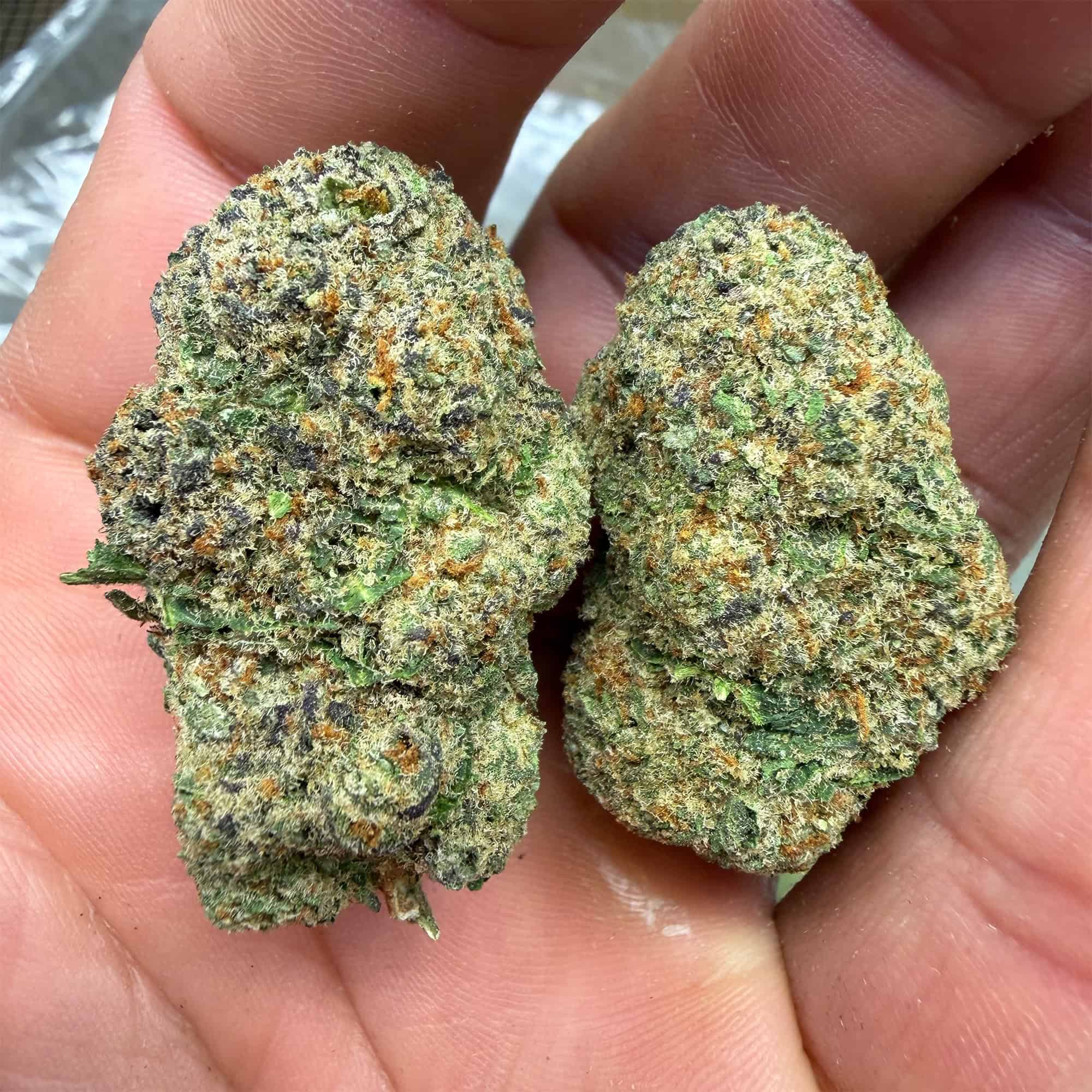 Pandemic Punch THCA Flower Bulk Pounds