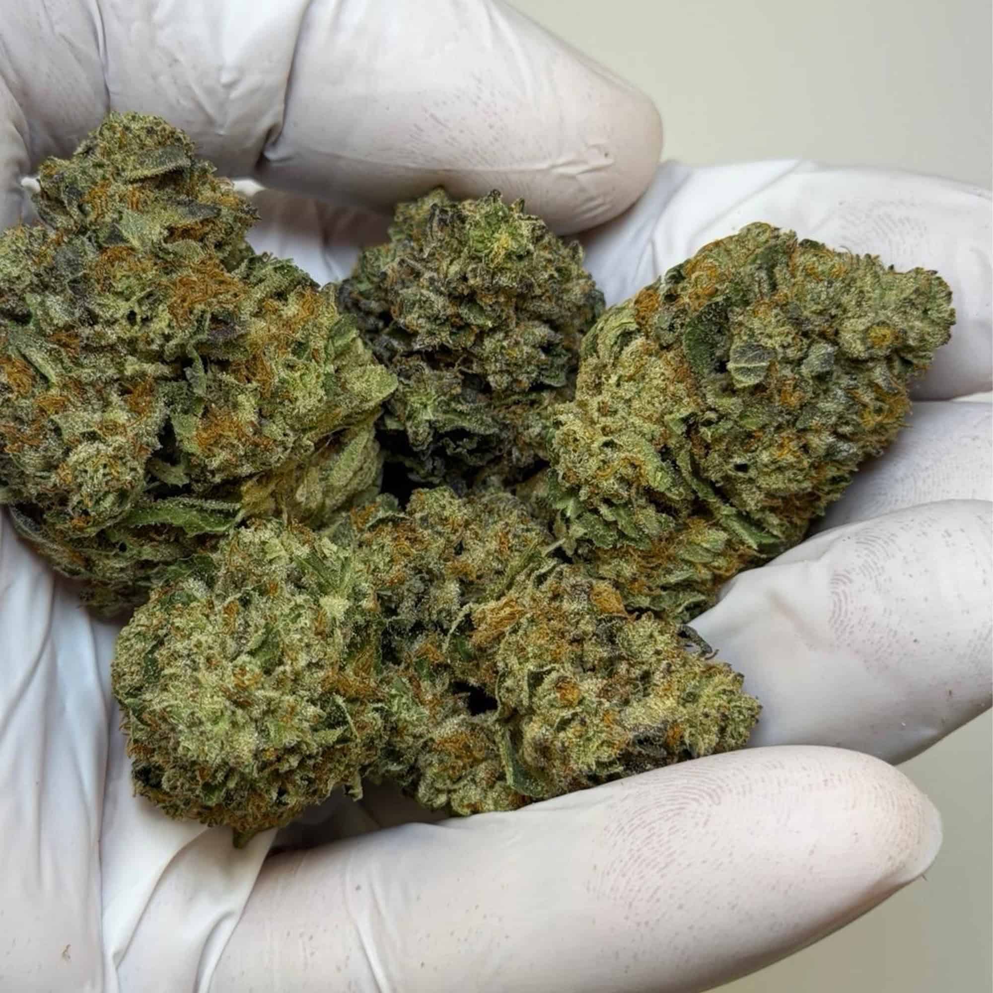 RS11 THCA Flower Pounds