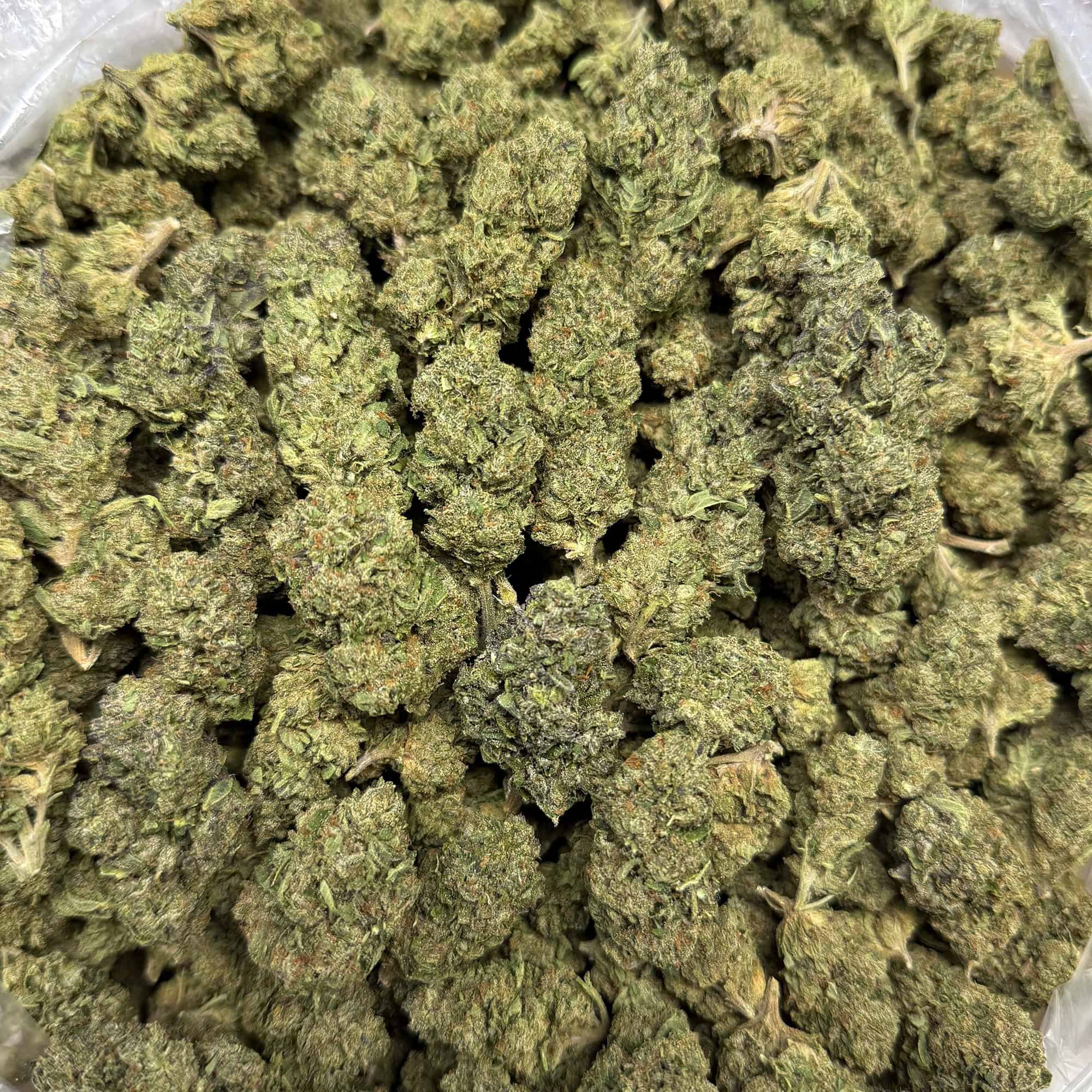 RS11 THCA Flower Wholesale