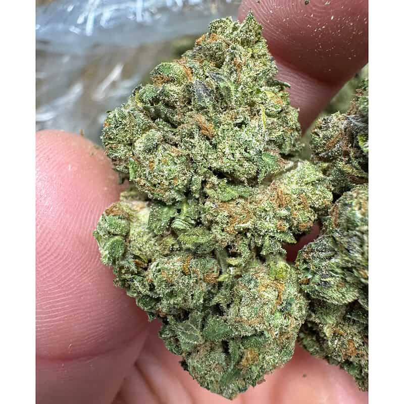 RS11 THCA Flower Pounds 1b