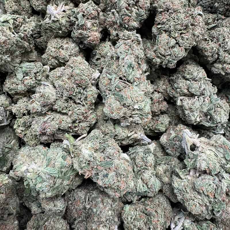 RS11 THCA Flower Pounds 1c