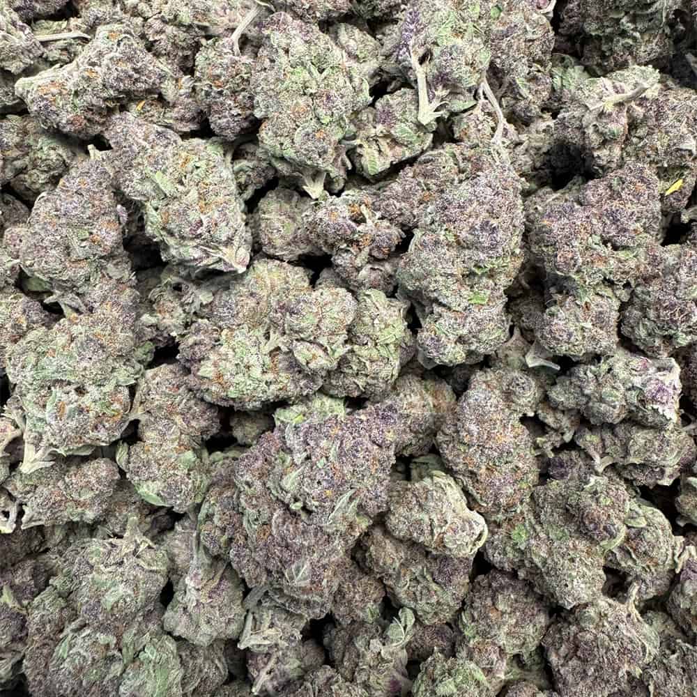 Trop Cherry THCA Flower Wholesale Pounds
