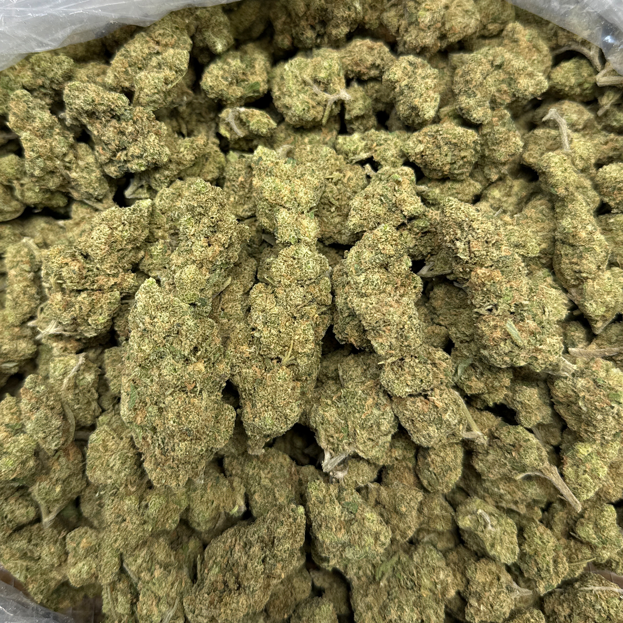 Blue Dream THCA Flower Bulk
