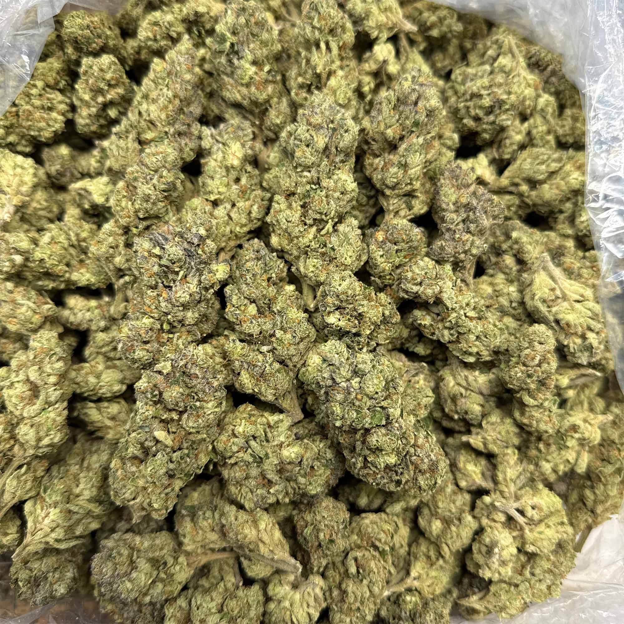 Pinnacle THCA Flower Pounds