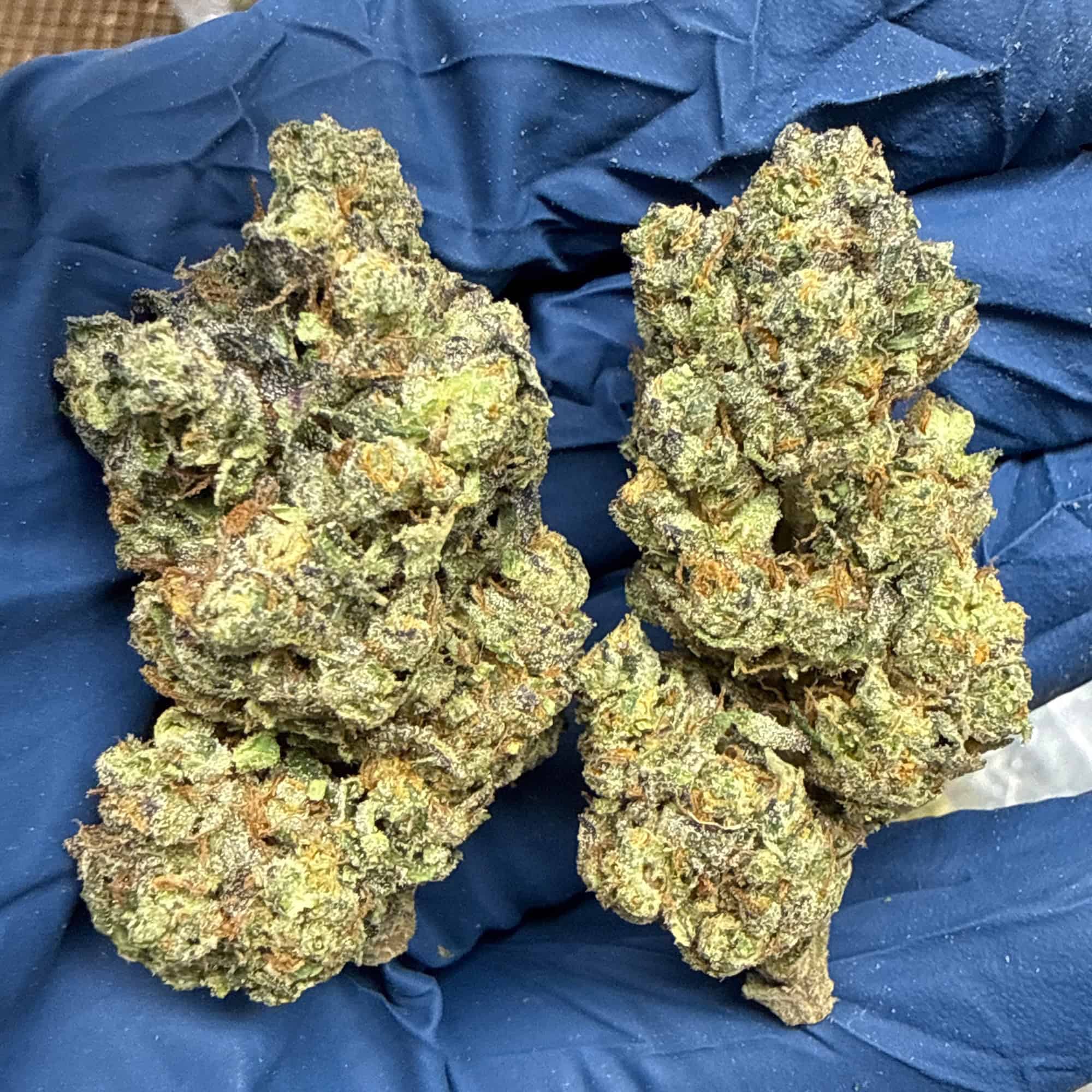 Pinnacle THCA Flower Bulk