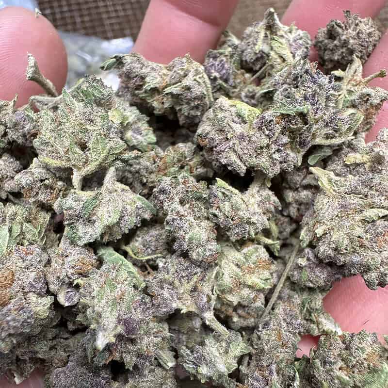 THCA Flower Smalls