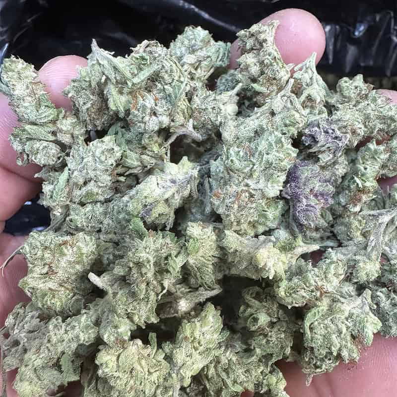 Cheap THCA smalls