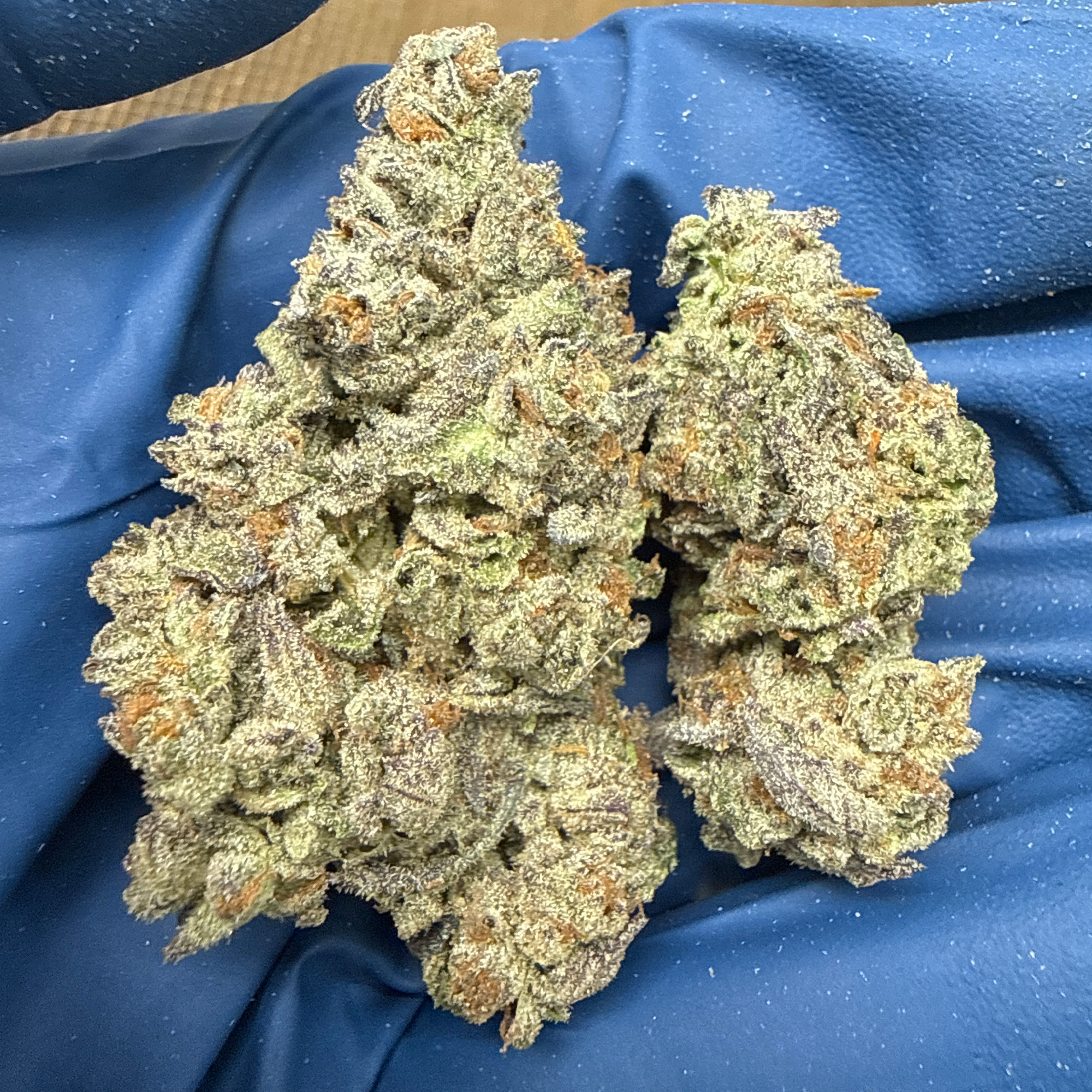 WHite Truffle THCA Flower Pounds