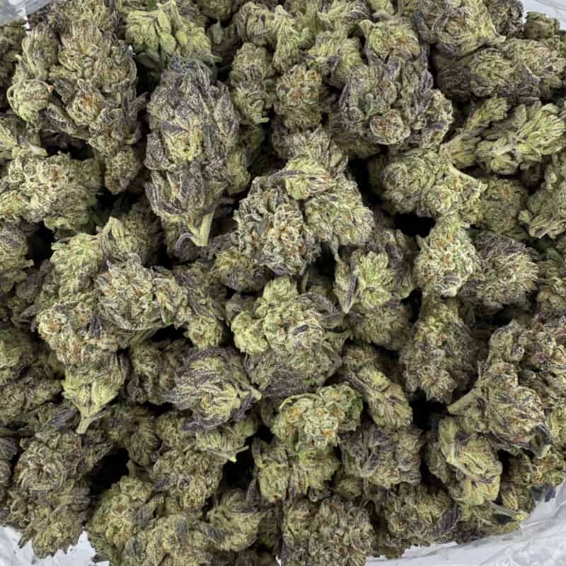 White Truffle THCA Flower for Sale