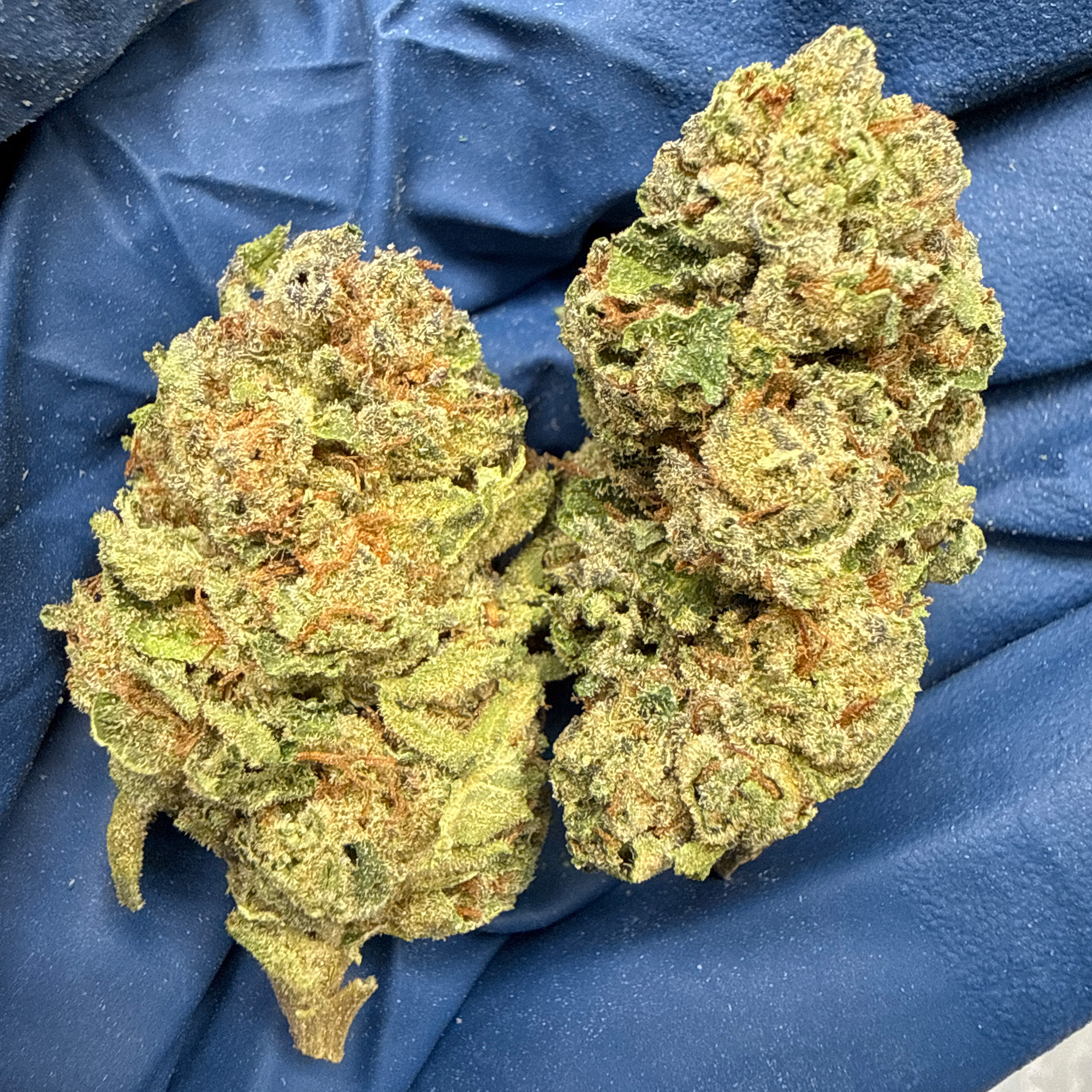 Grape Ape THCA FLower Pounds 3-13