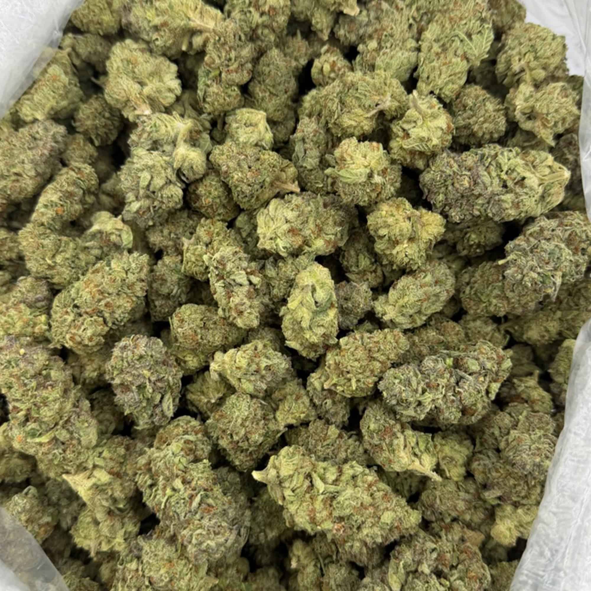 Grape Ape THCA Flower Cheap