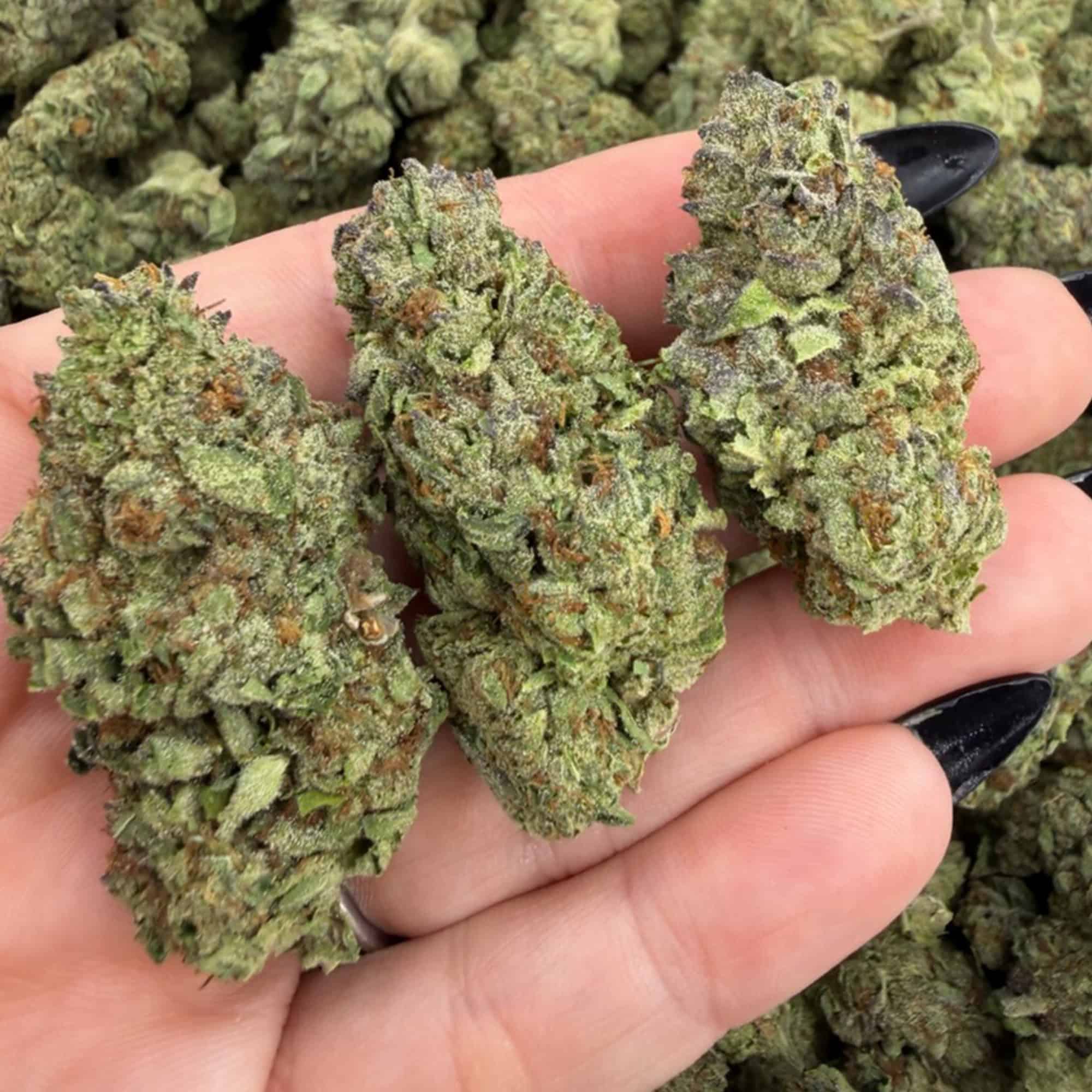 Grape Ape THCA Flower for Sale