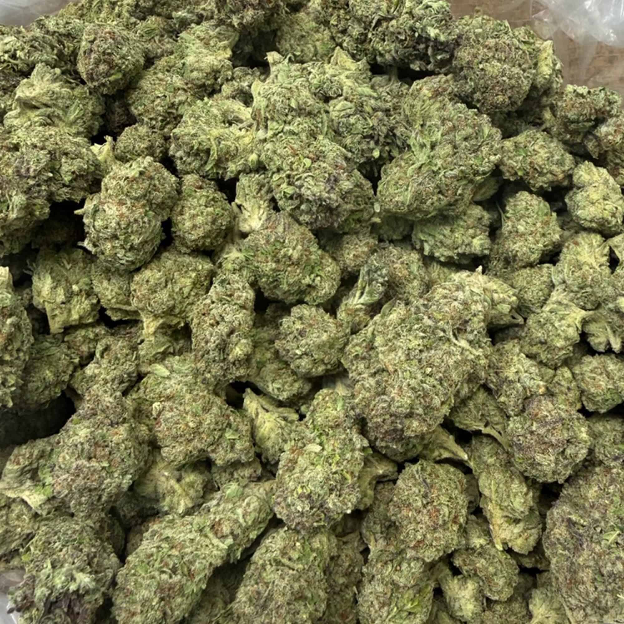 Mimosa THCA Flower Bulk Pounds