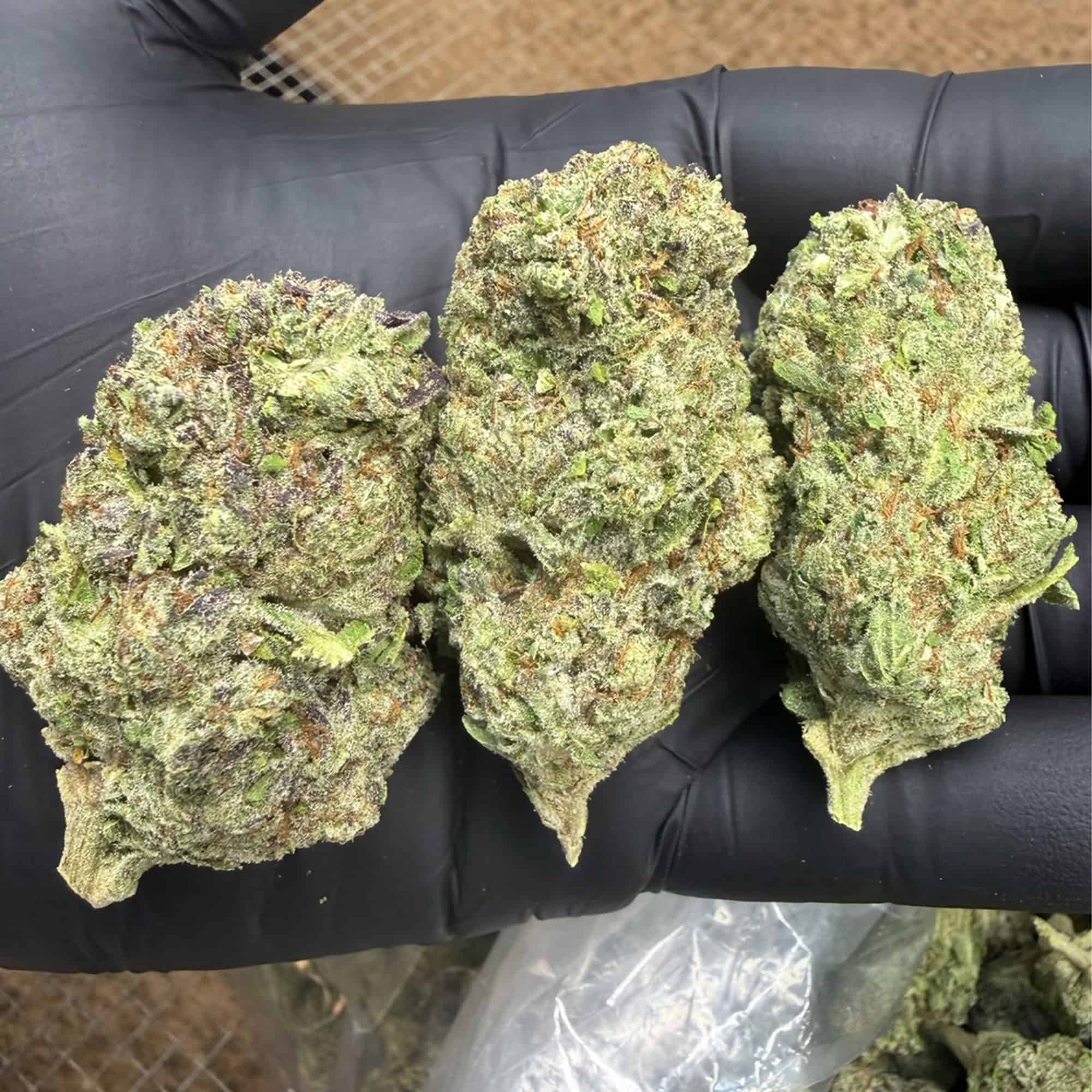 Mimosa THCA Flower Pounds