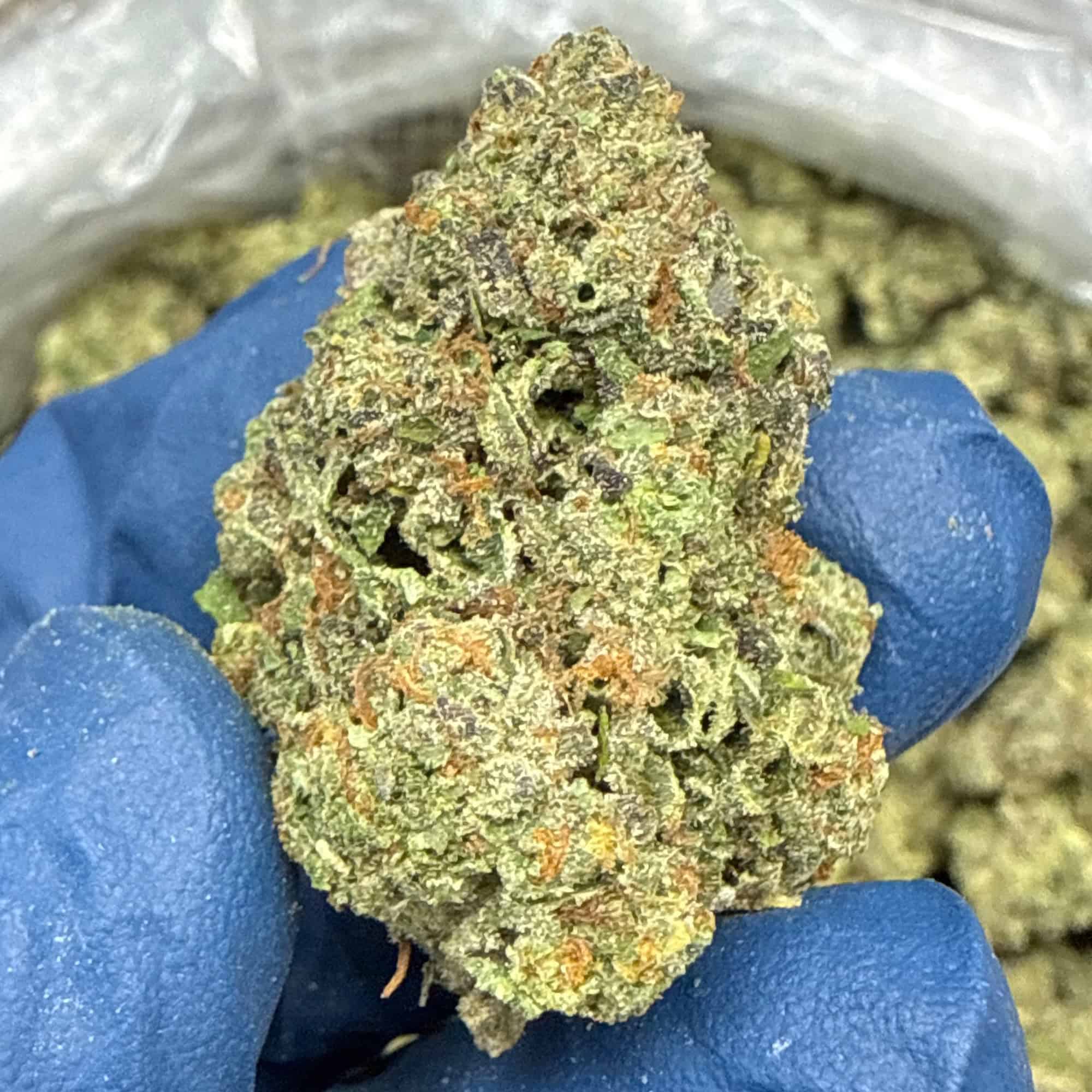 Mochi THCA Flower Pounds