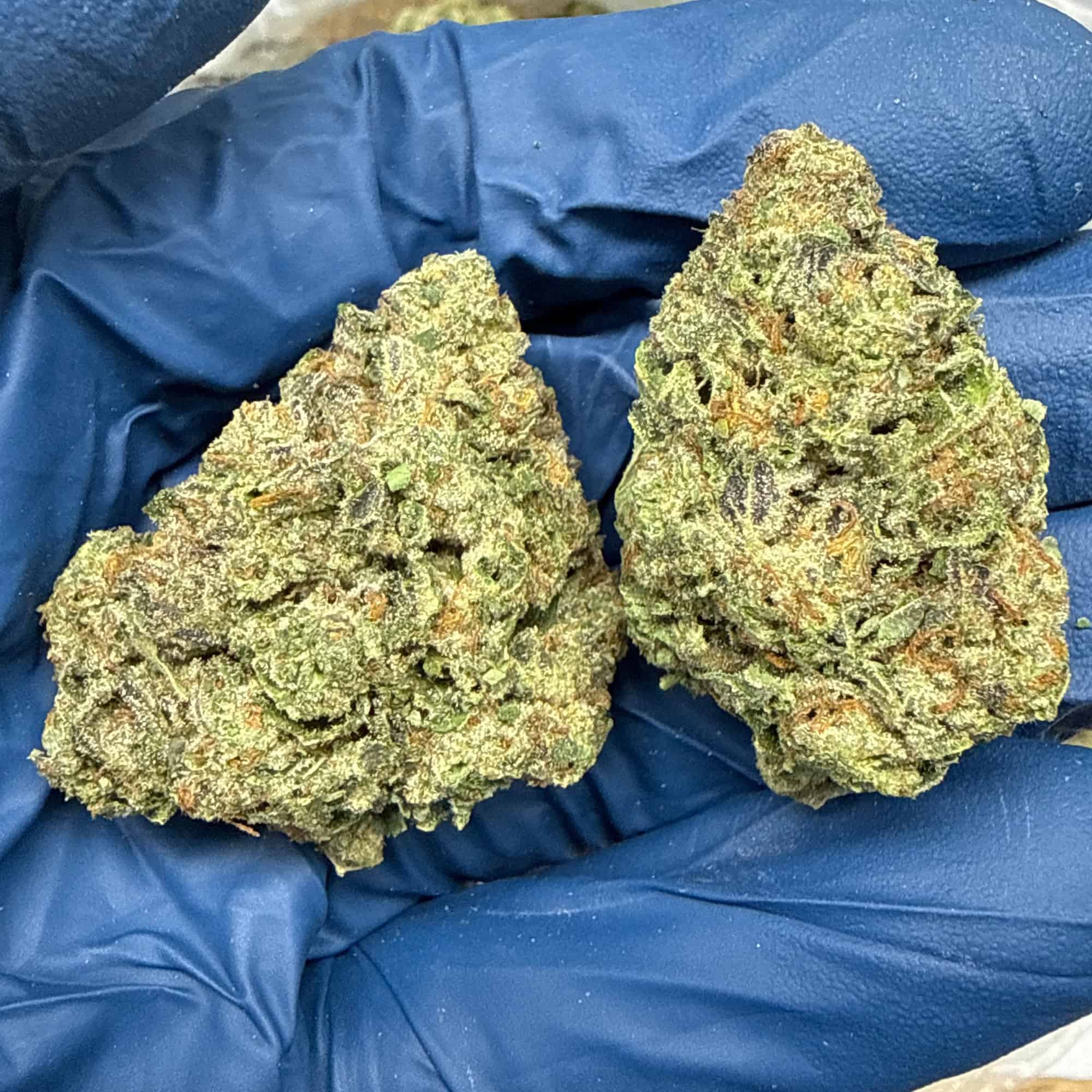 Mochi THCA Flower Wholesale