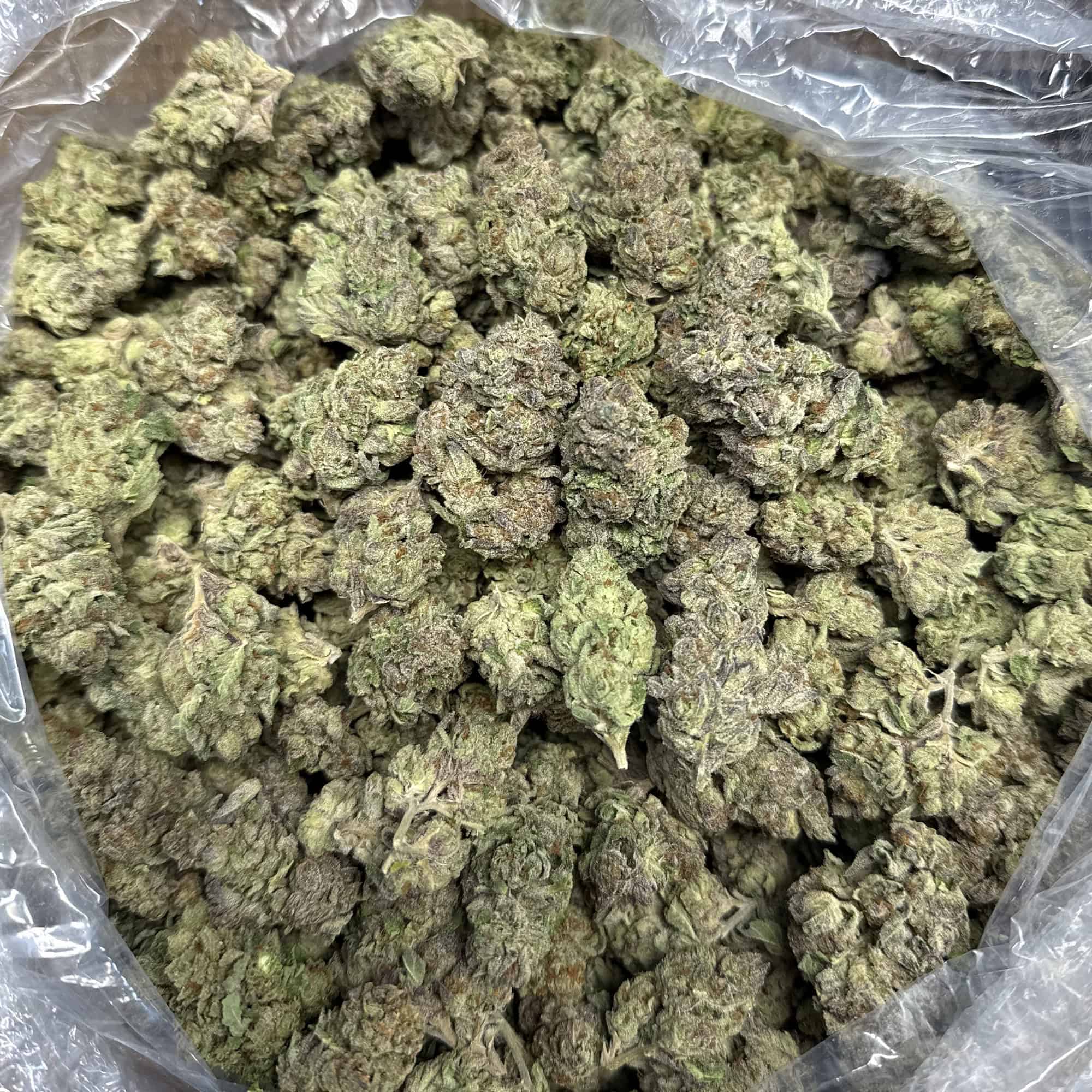 Mochi THCA Flower Pounds Bulk