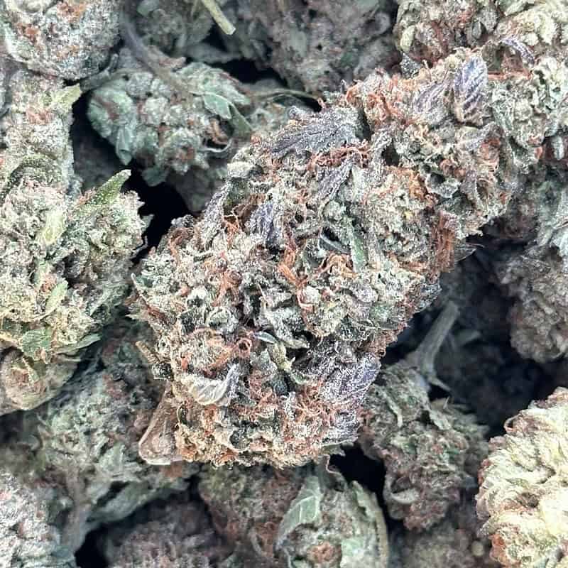 Mochi THCA Flower Wholesale