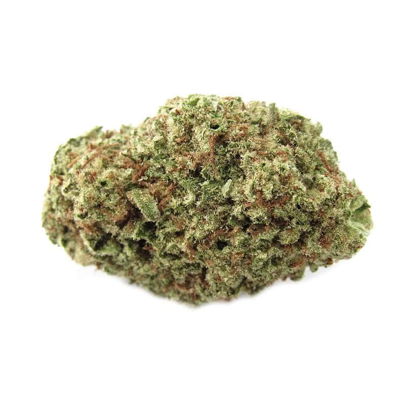Papaya Punch THCA Flower