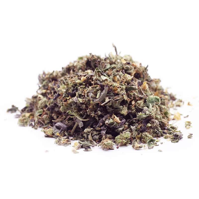 Blueberry Z THCA Shake Wholesale Pounds