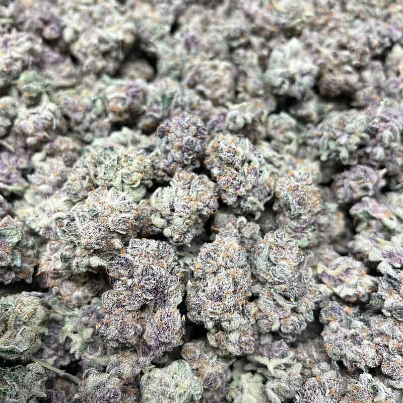 Wholesale Exotic THCA Flower