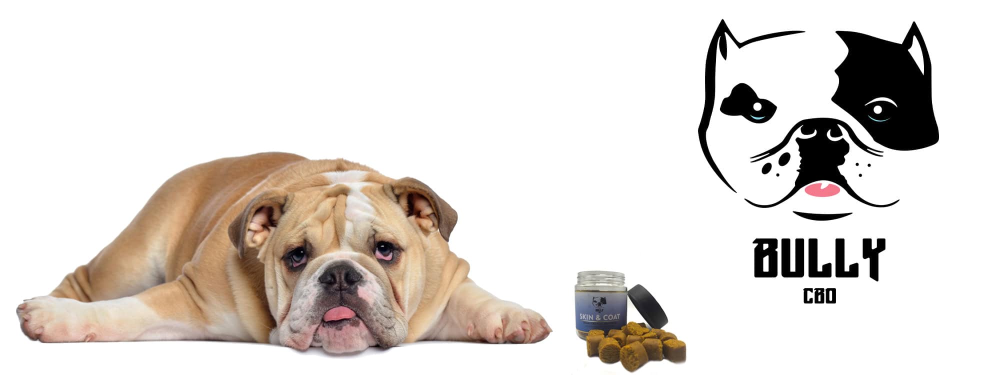 CBD Dog Treats