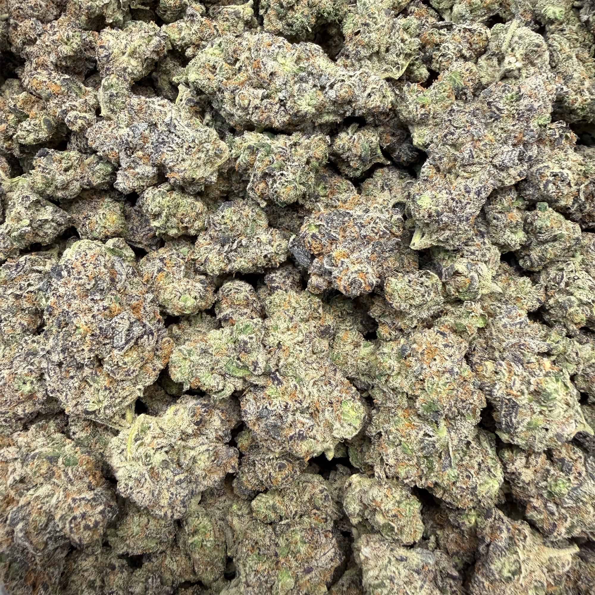 Churro Gelato Bulk THCA Flower
