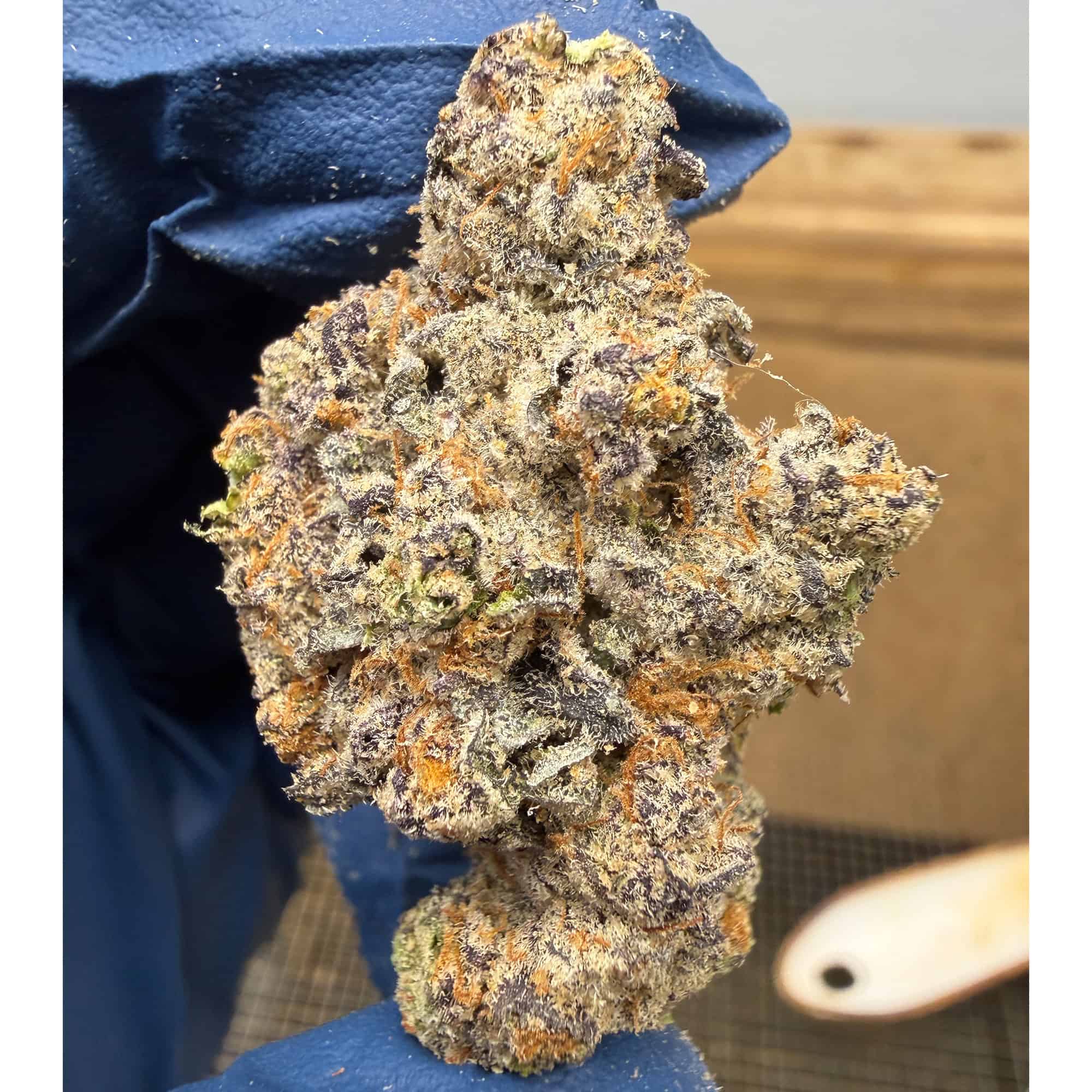 Churro Gelato THCA Flower Wholesale