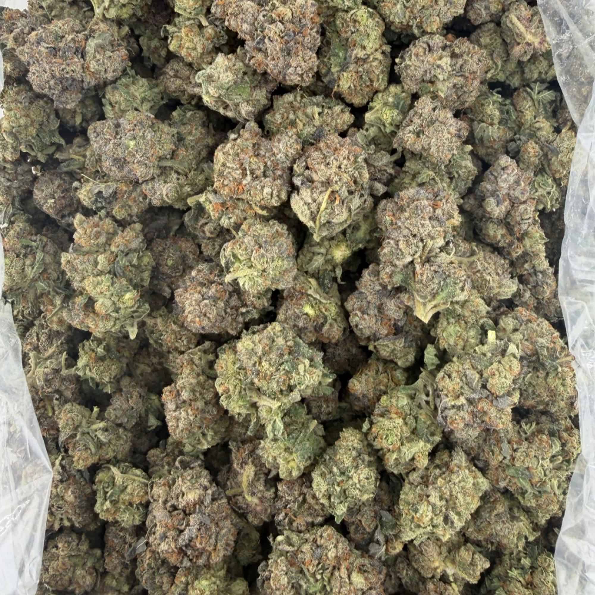 Hella Jelly THCA Flower Bulk