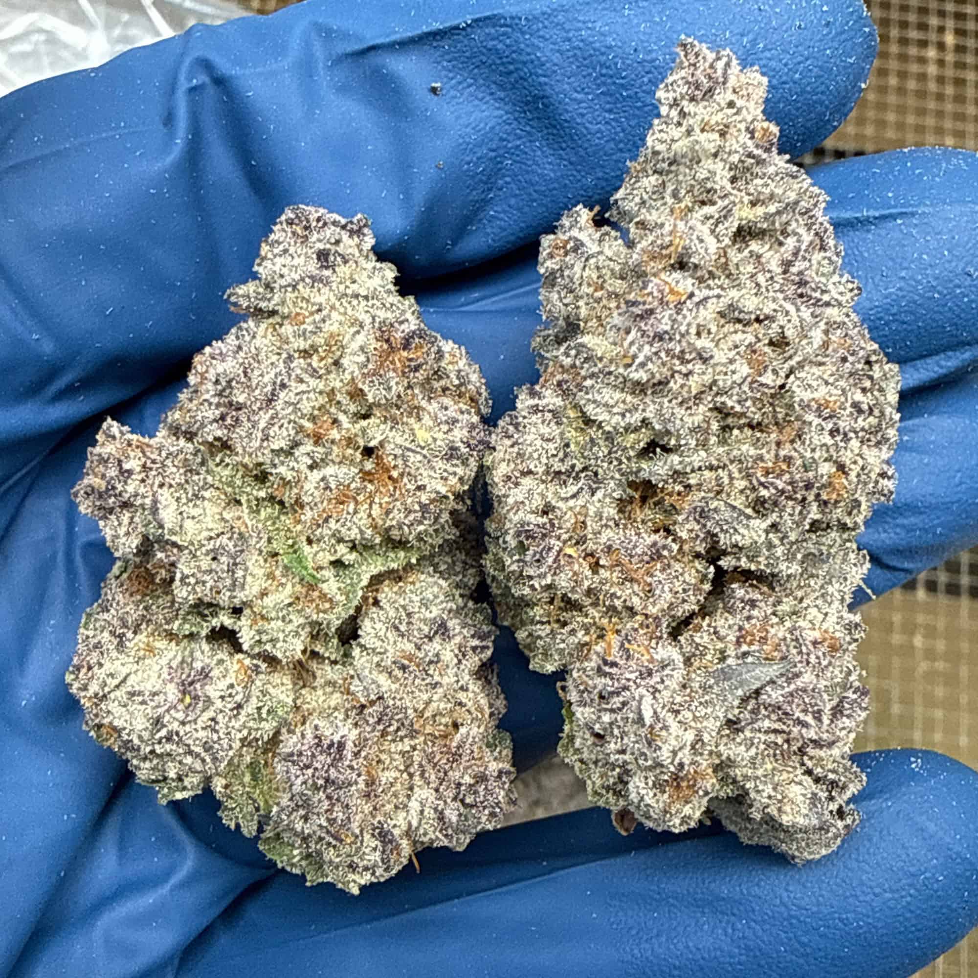 Blockberry THCA Flower Pounds