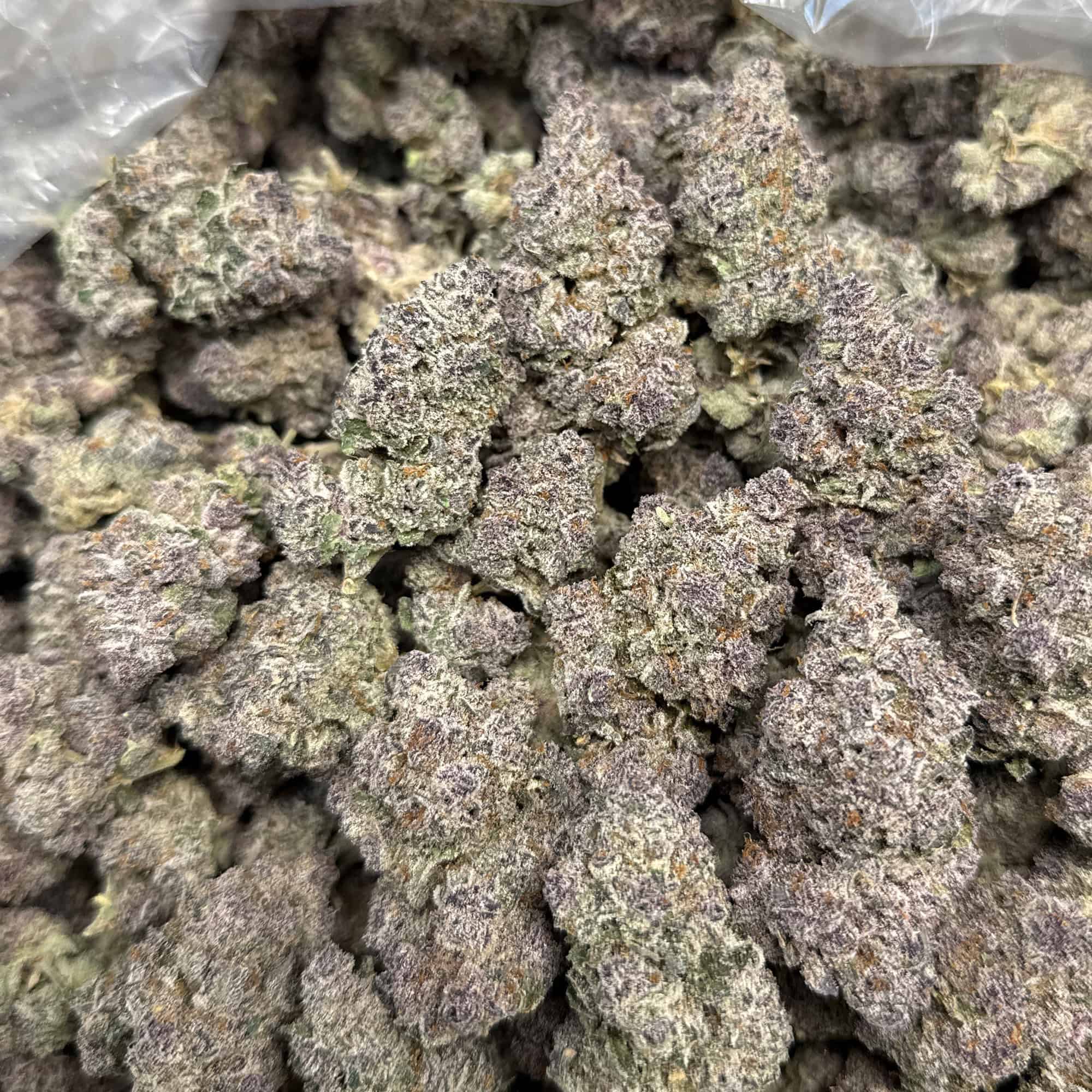Blockberry THCA FLower Wholesale