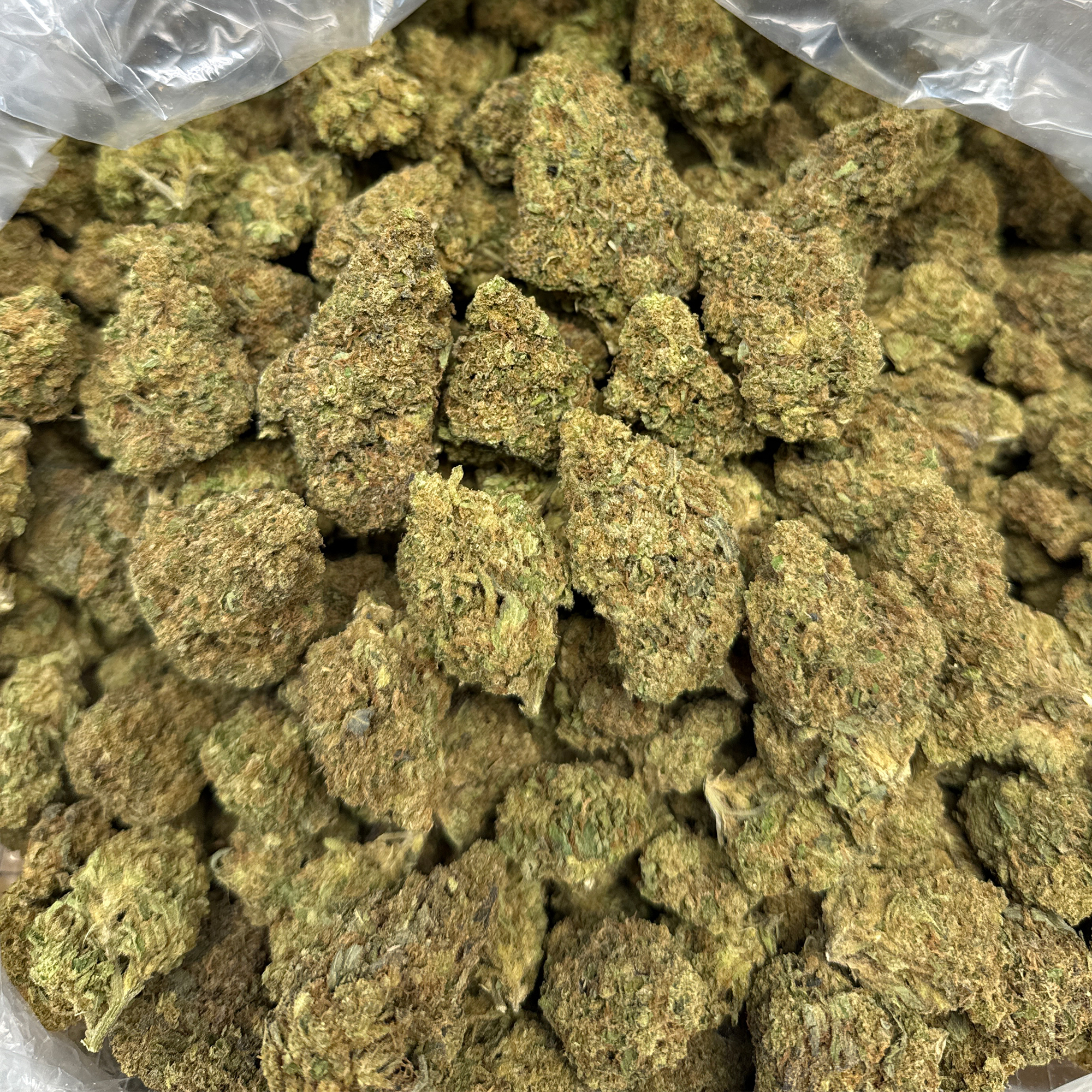 Gorilla Glue THCA Flower Wholesale Bulk