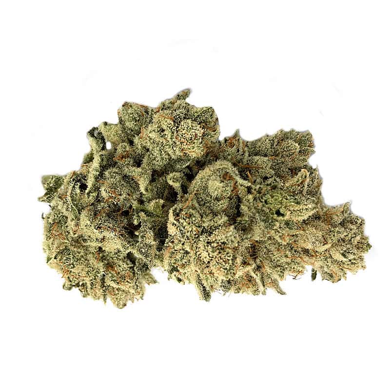 Gorilla Glue #4 THCA Flower