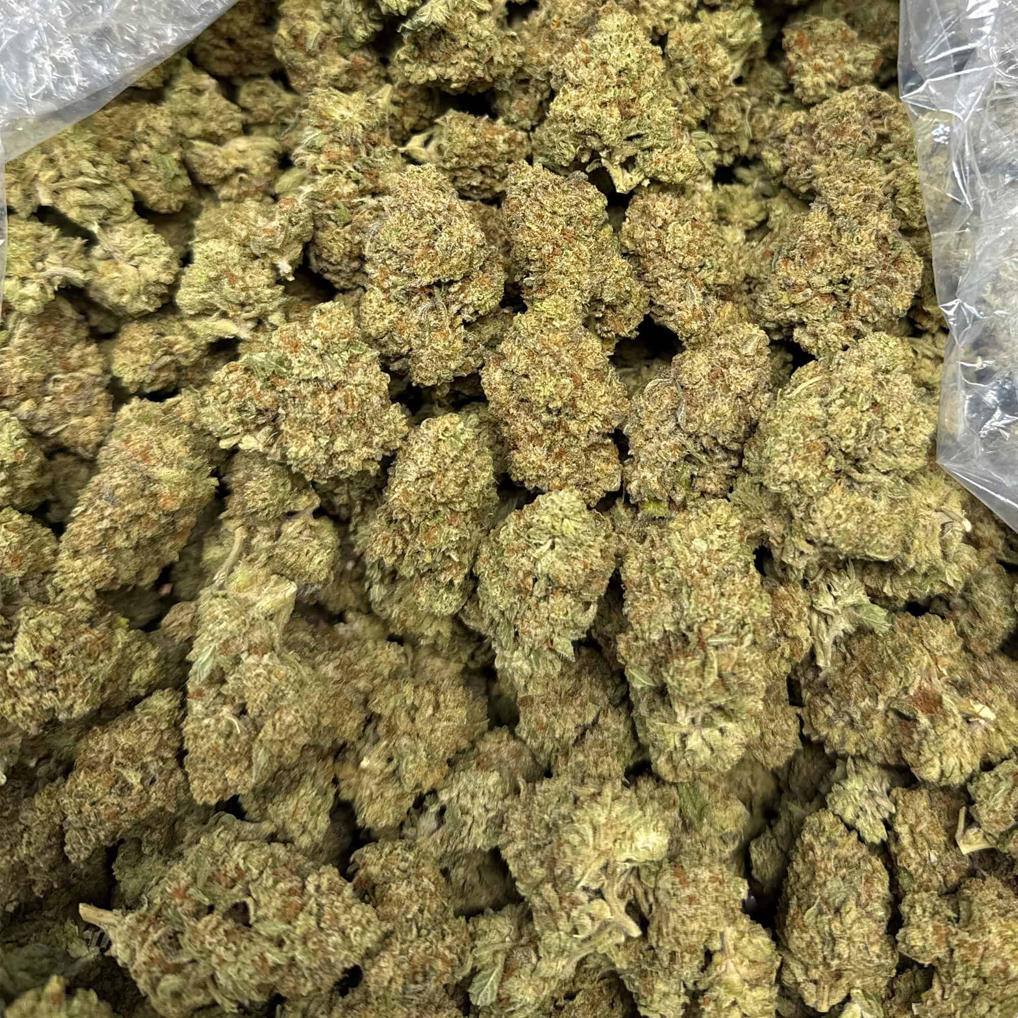 Wedding Cake THCA Flower Bulk 3-13