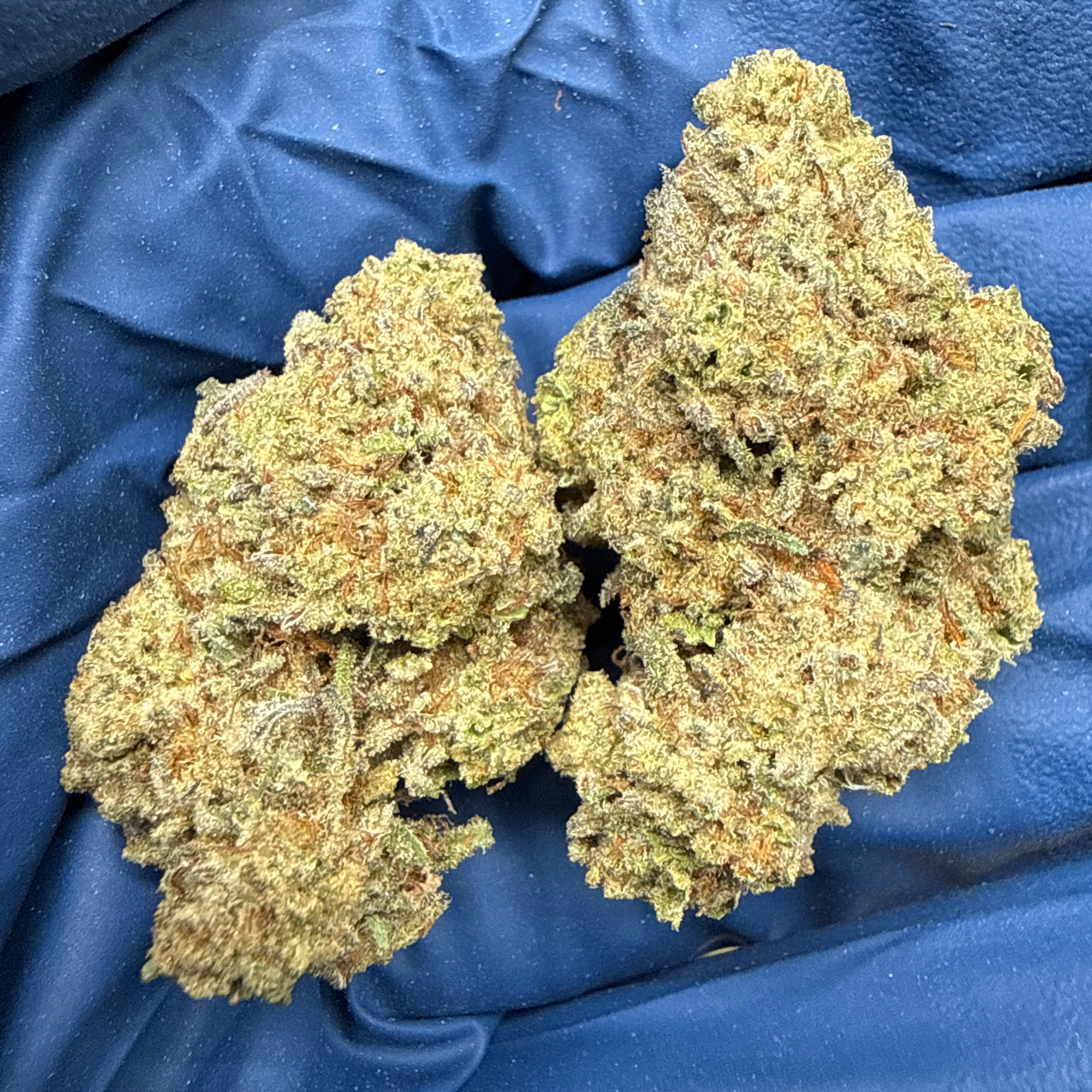 Wedding Cake THCA Flower Pounds 3-13