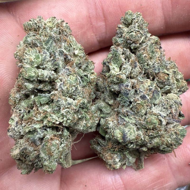 Wedding Cake THCA Flower Pounds