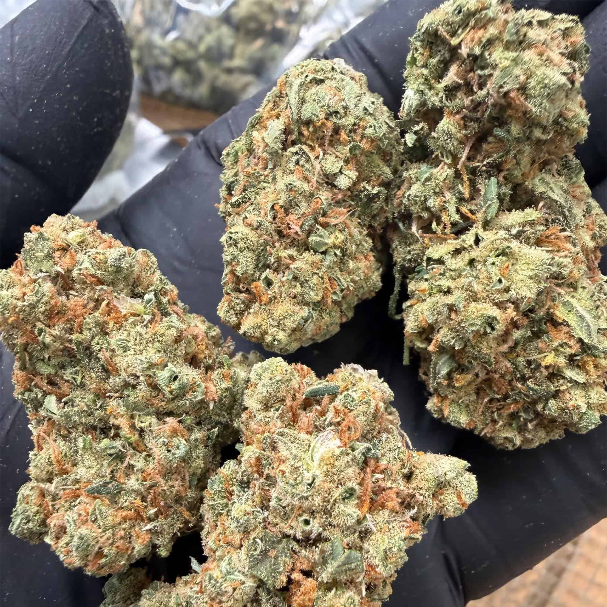 Super Silver Haze THCA Flower Pounds