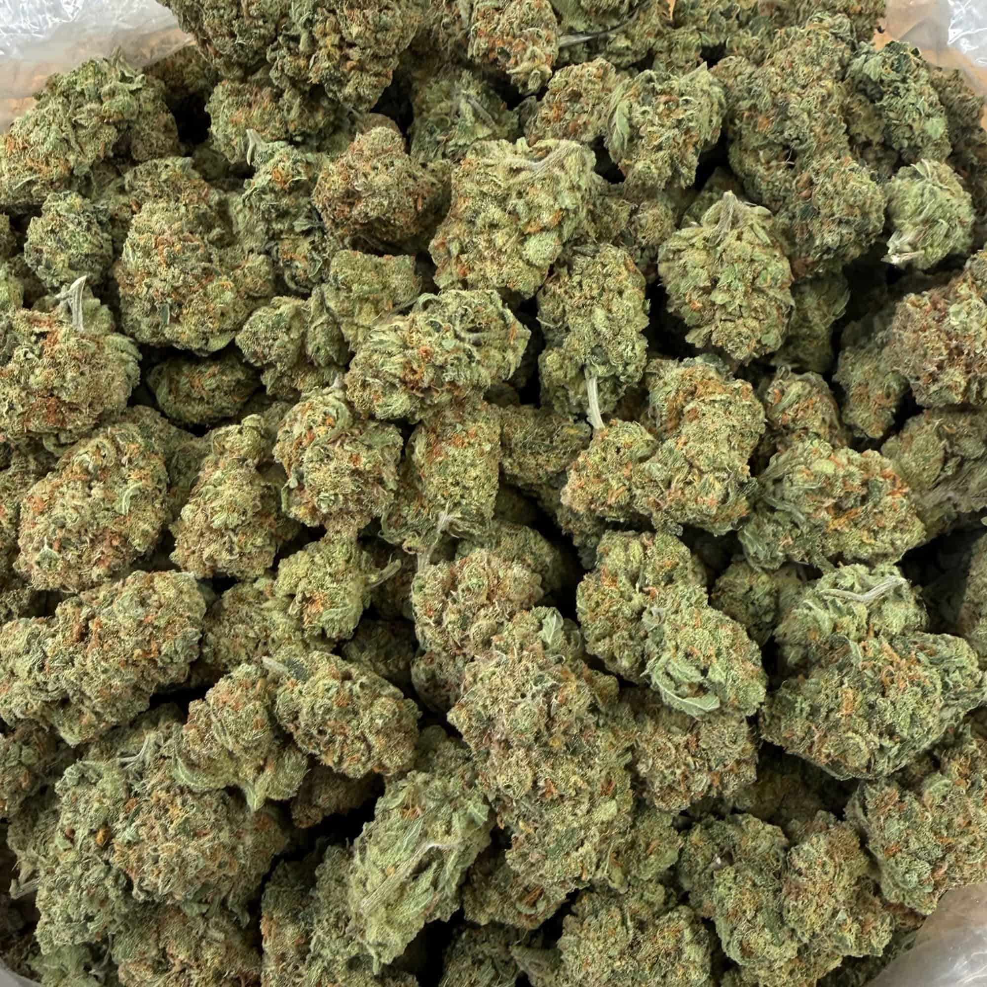 Super Silver Haze THCA Flower Wholesale Bulk
