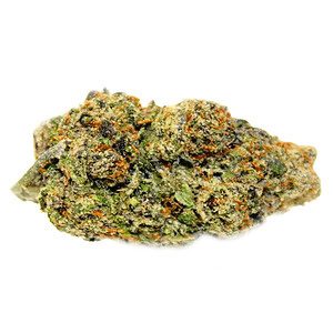 Bacio THCA Flower Wholesale