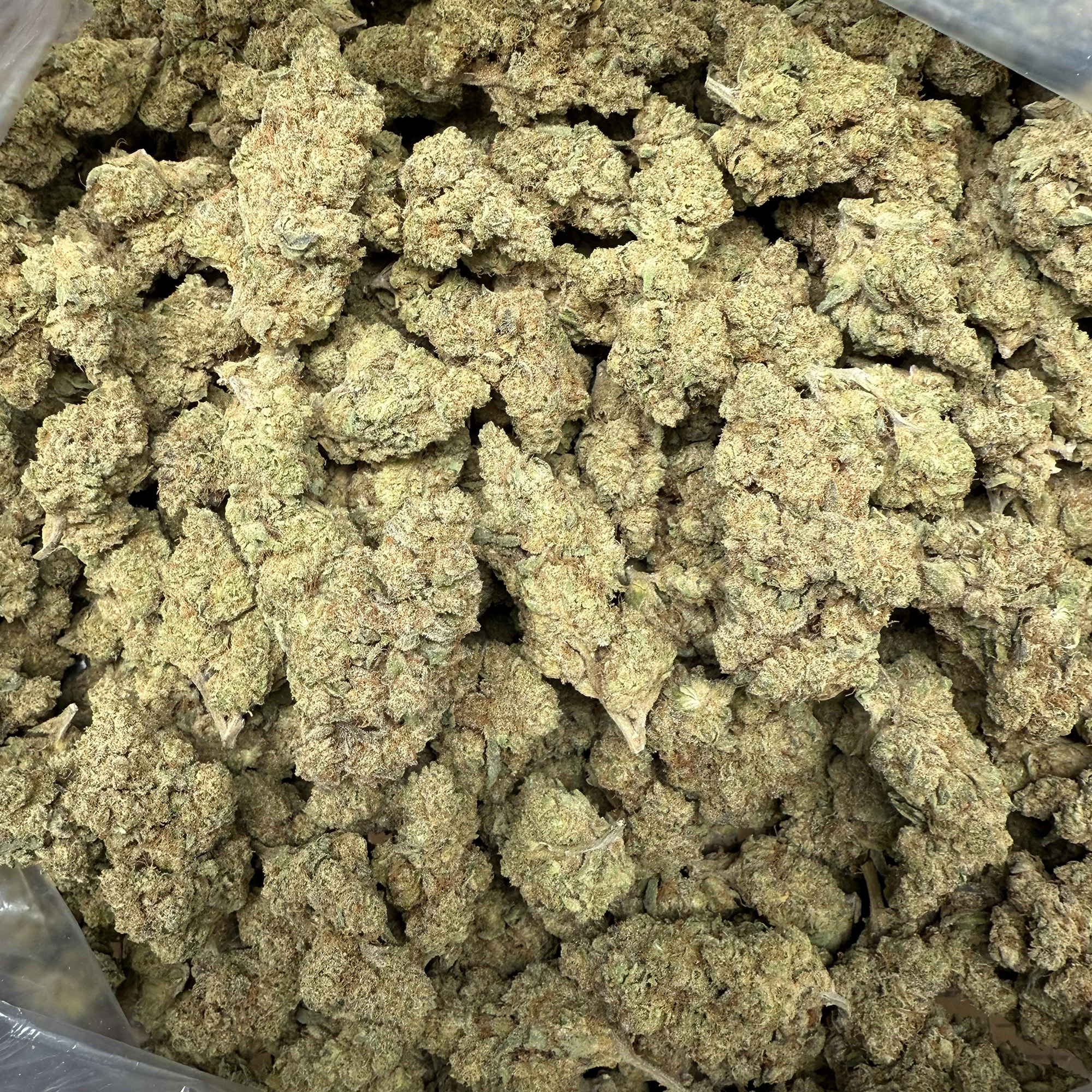 Garlic Mints THCA Flower Bulk