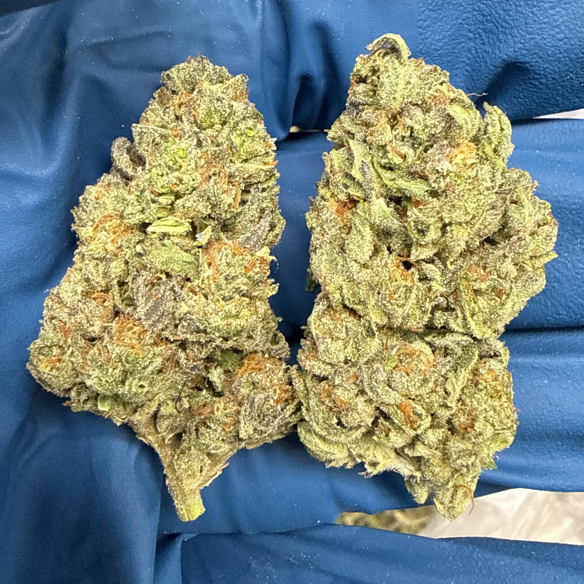 Garlic Mintz THCA Flower Pounds