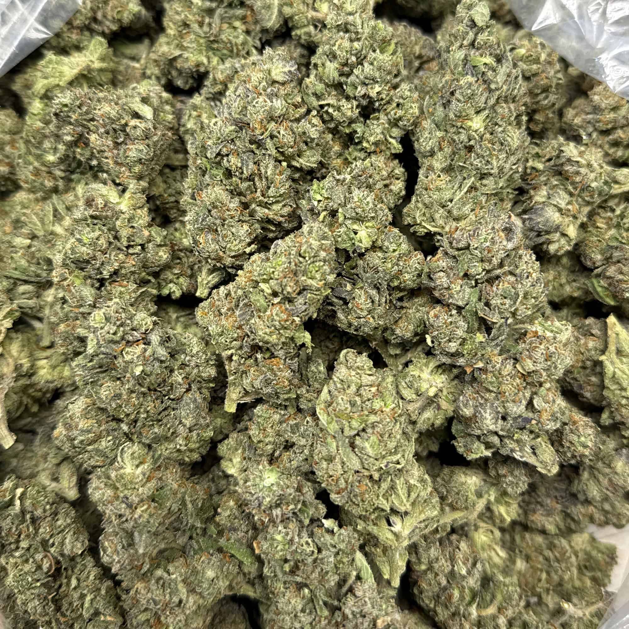 Garlic Mintz THCA Flower Strain