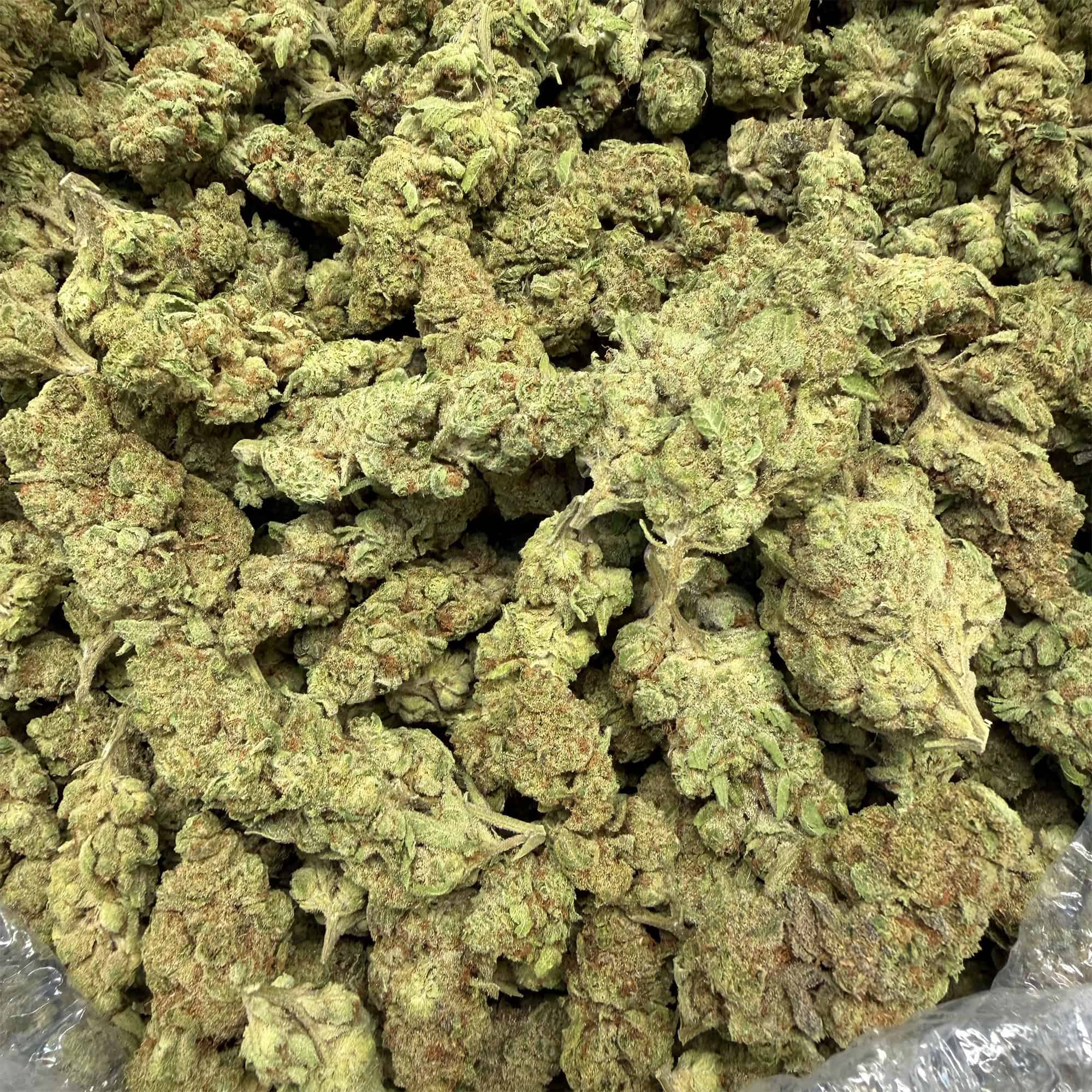 Drippin Dots THCA Flower Pounds