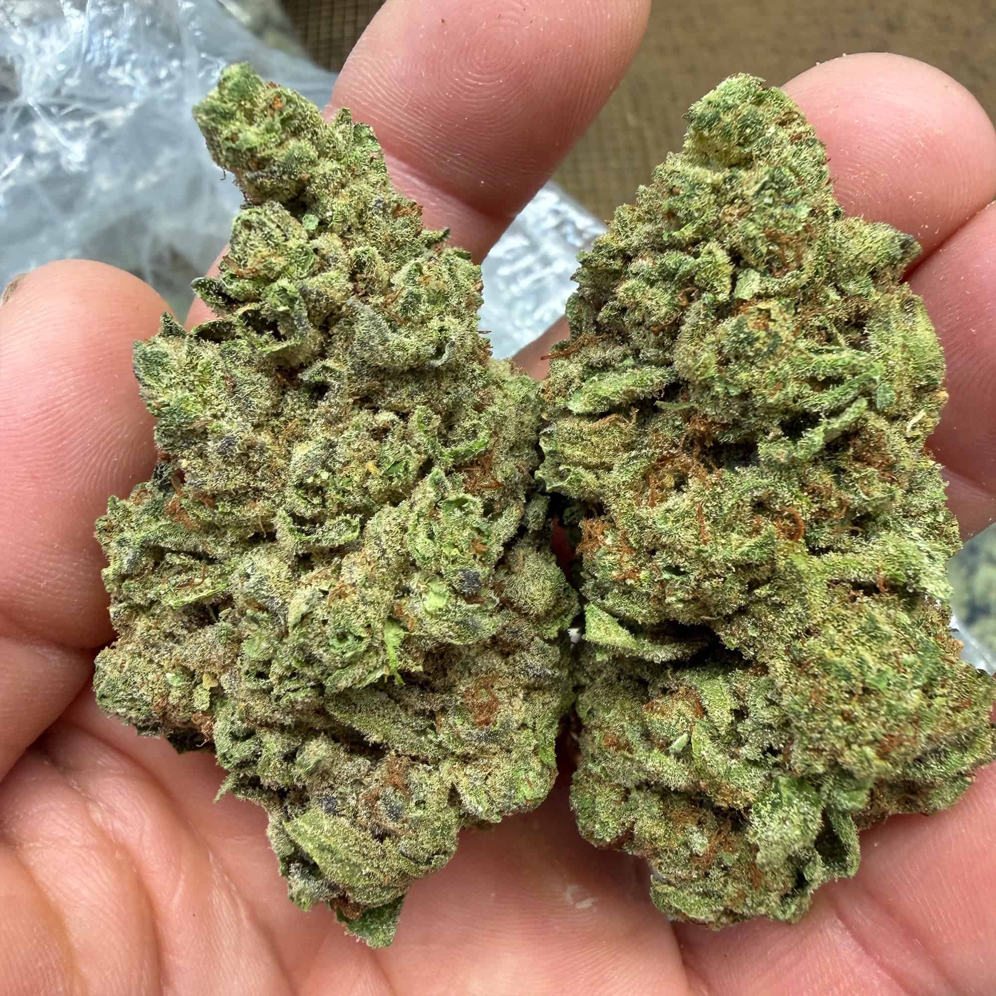 Drippin Dots Bulk THCA Flower