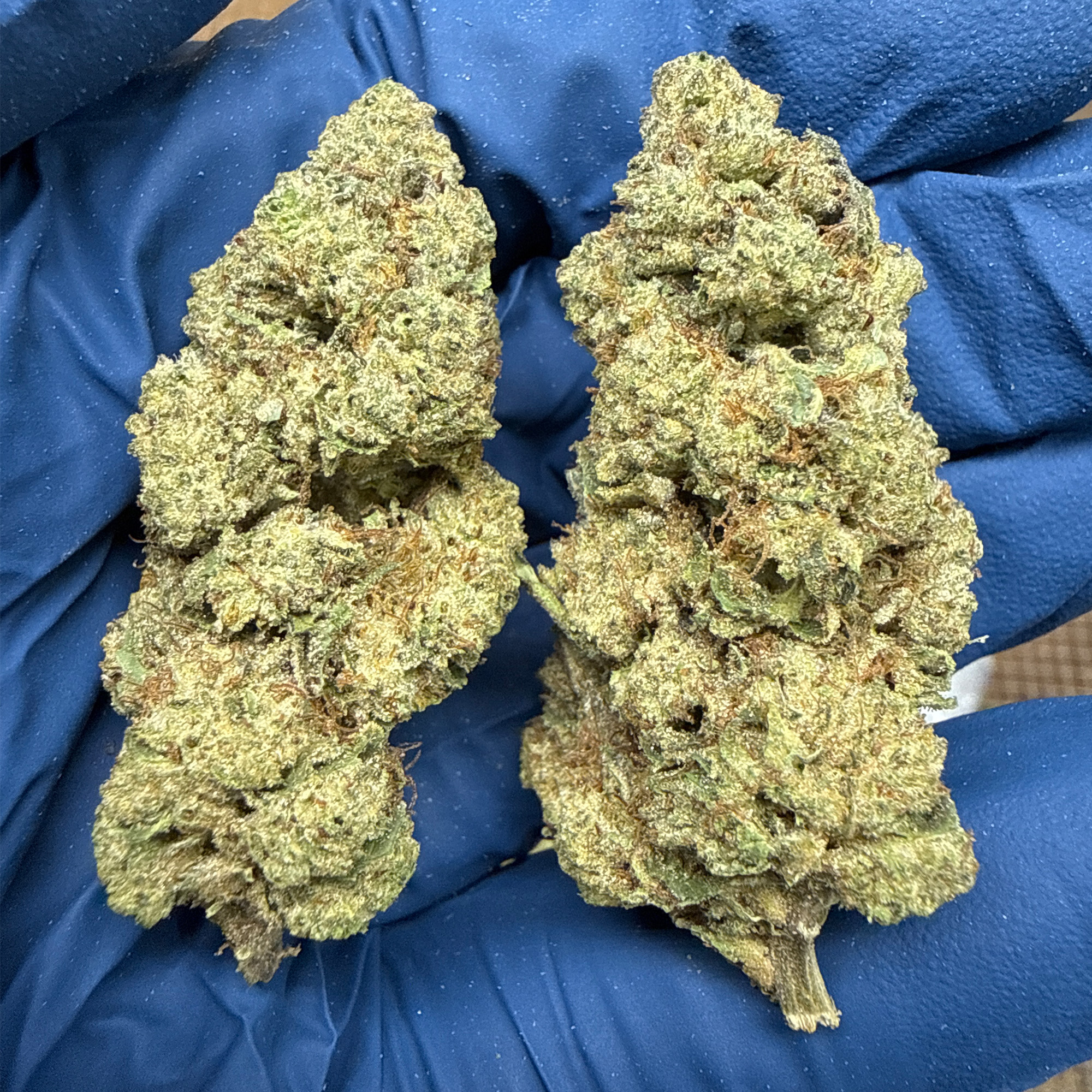 Hashburger THCA Flower pounds