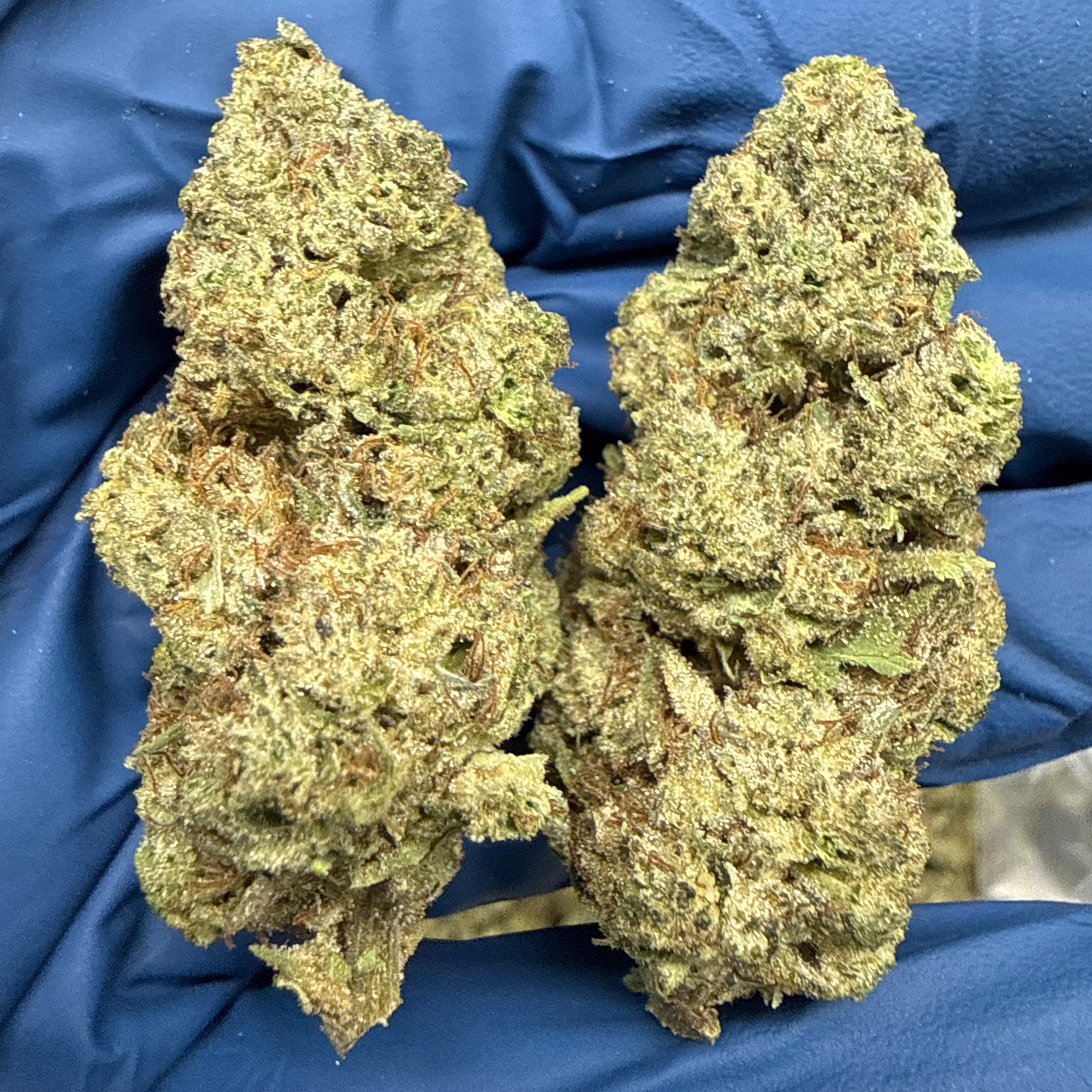 Hashburger THCA FLower Bulk