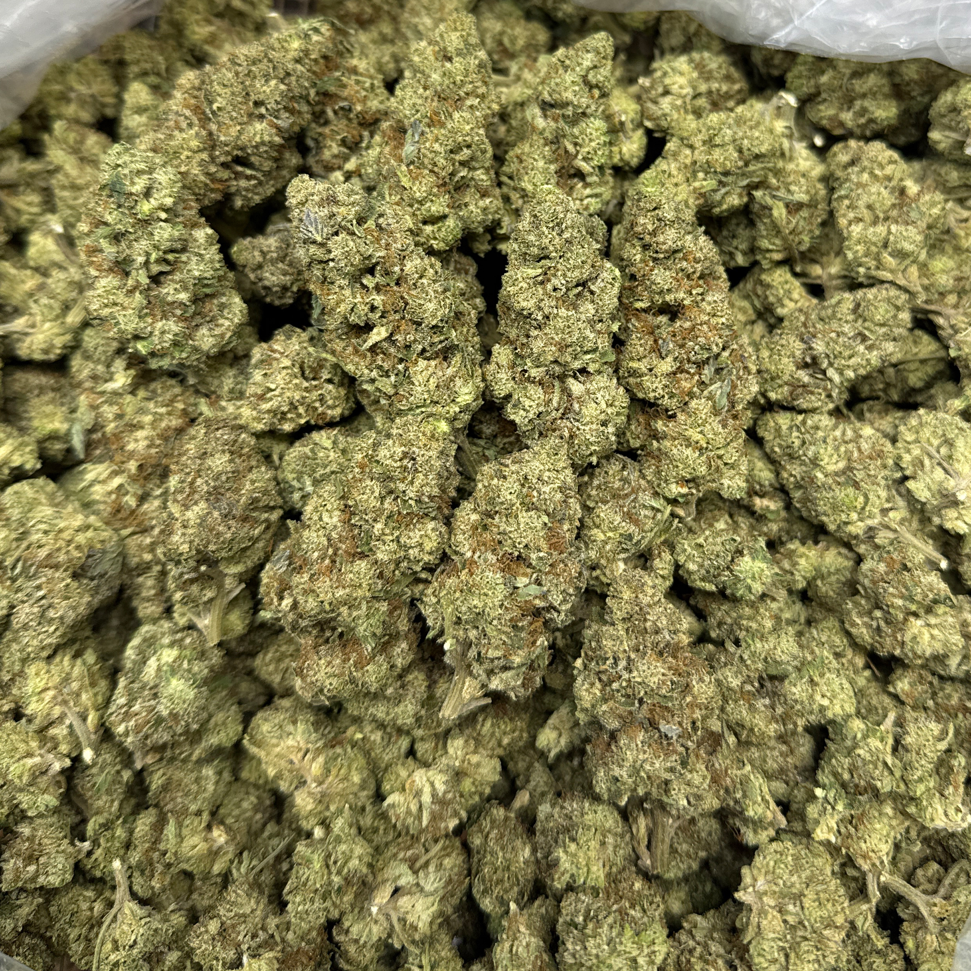 Hashburger THCA Flower Wholesale Pounds