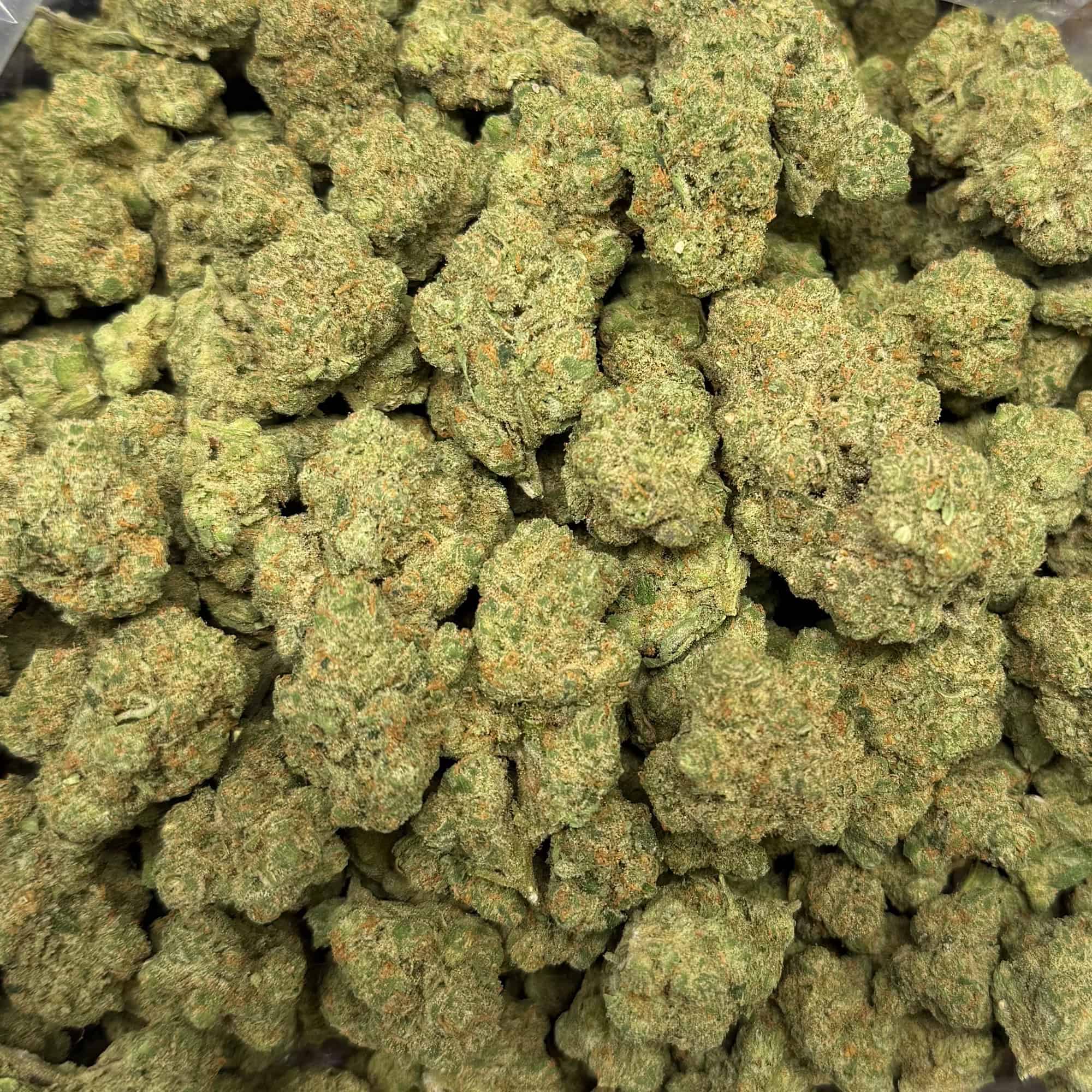 Jack Herer THCA Flower Bulk Wholesale