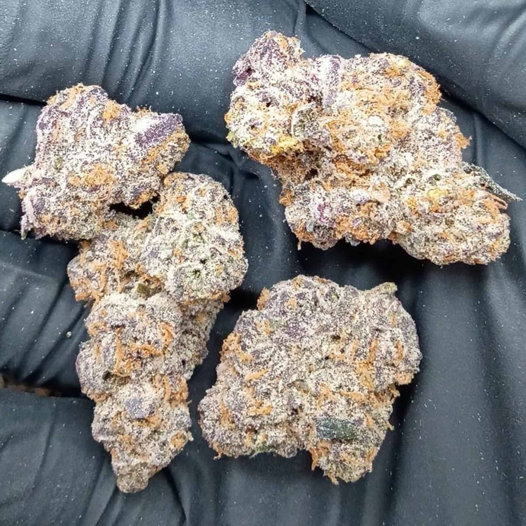 Blue Flame THCA Flower Pounds